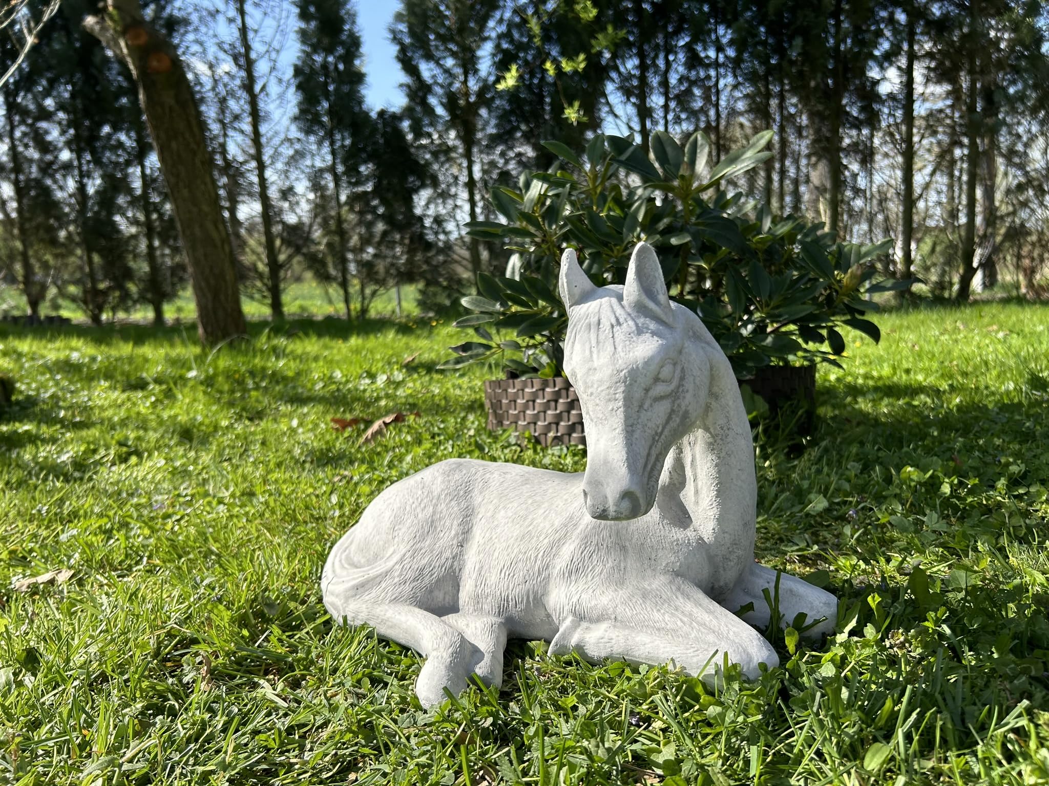 FABRIQ Figurka leżącego konia – realistyczna dekoracja ogrodowa ze sztucznego kamienia, szerokość 40 cm, masywna