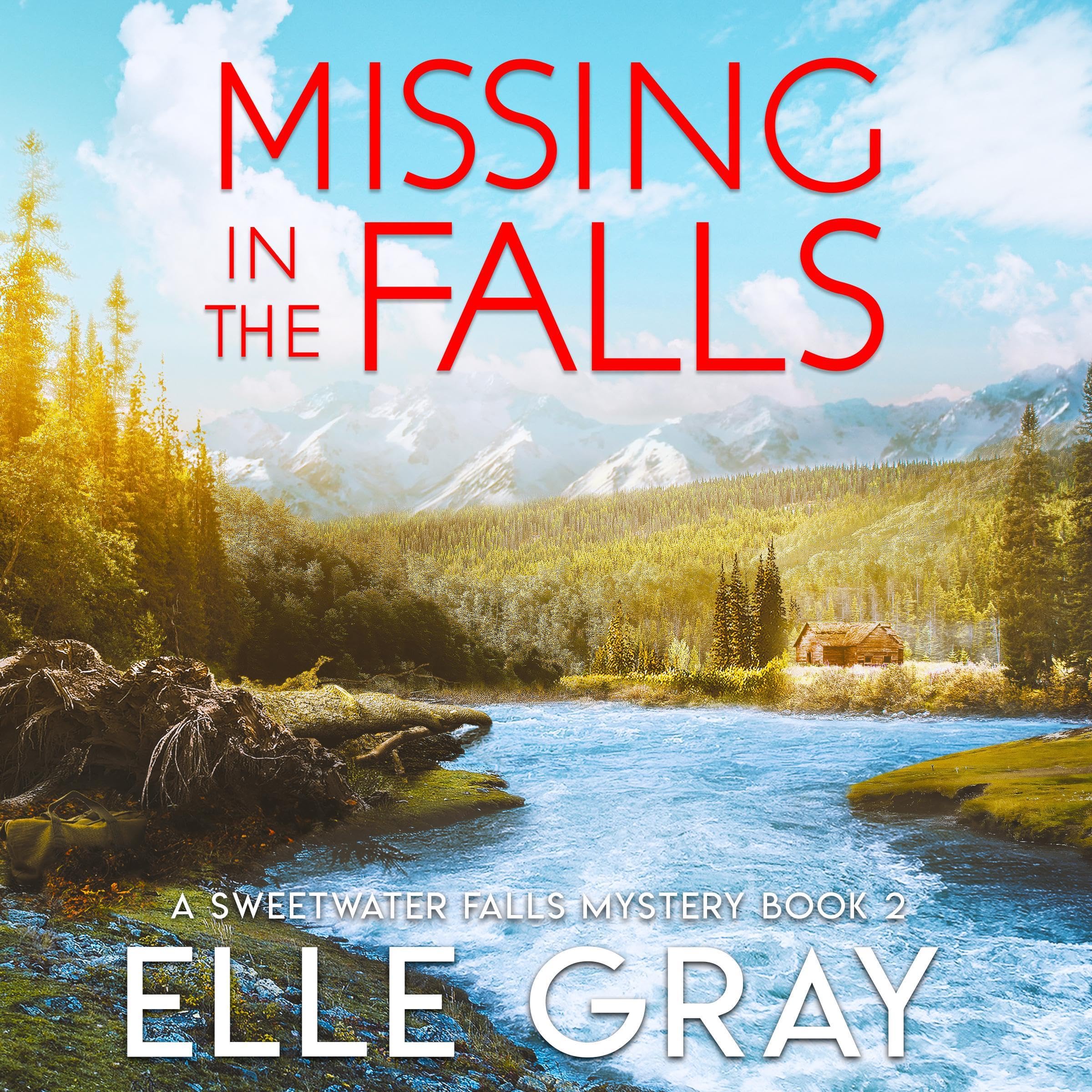 Cover art for Missing in the Falls