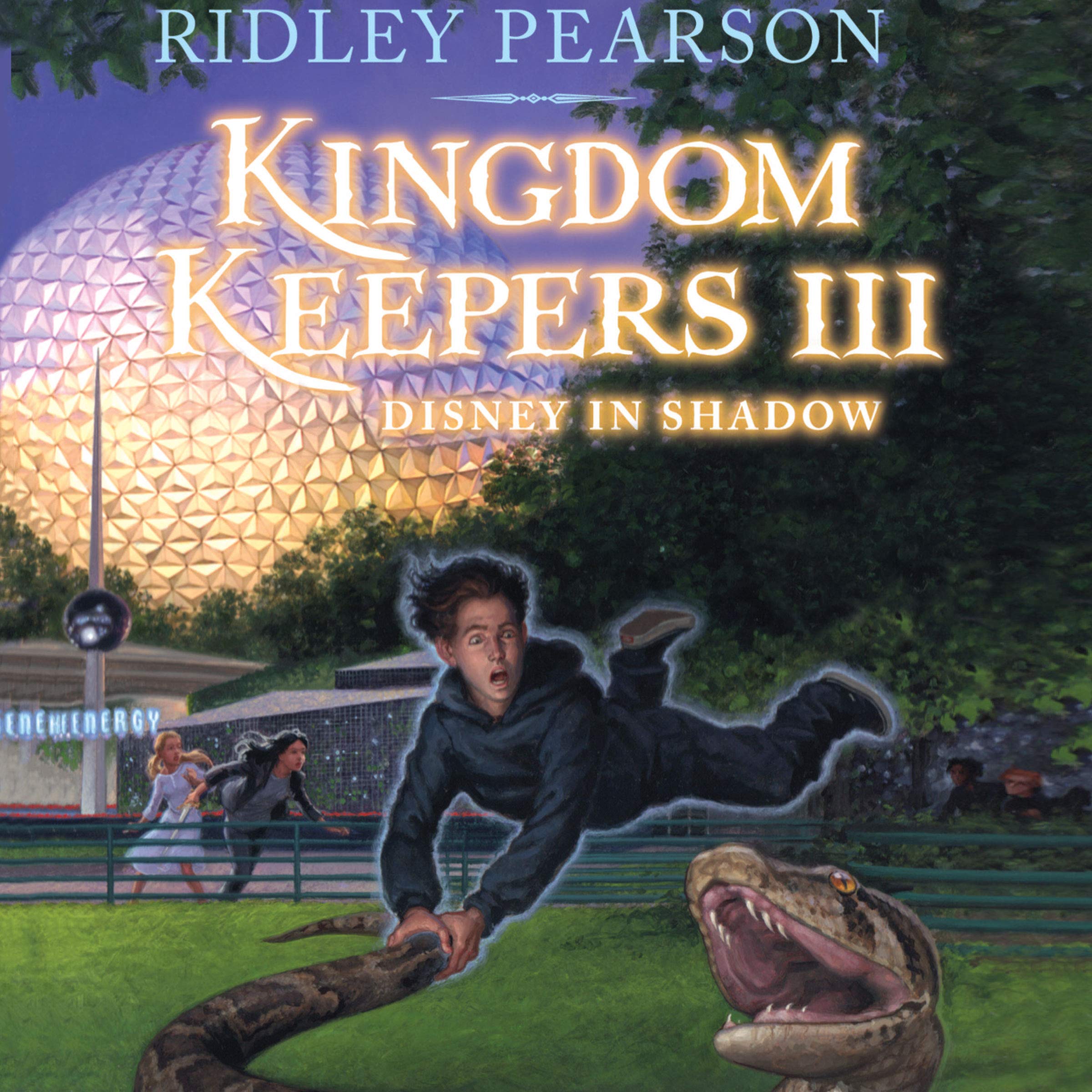 Cover art for Disney in Shadow