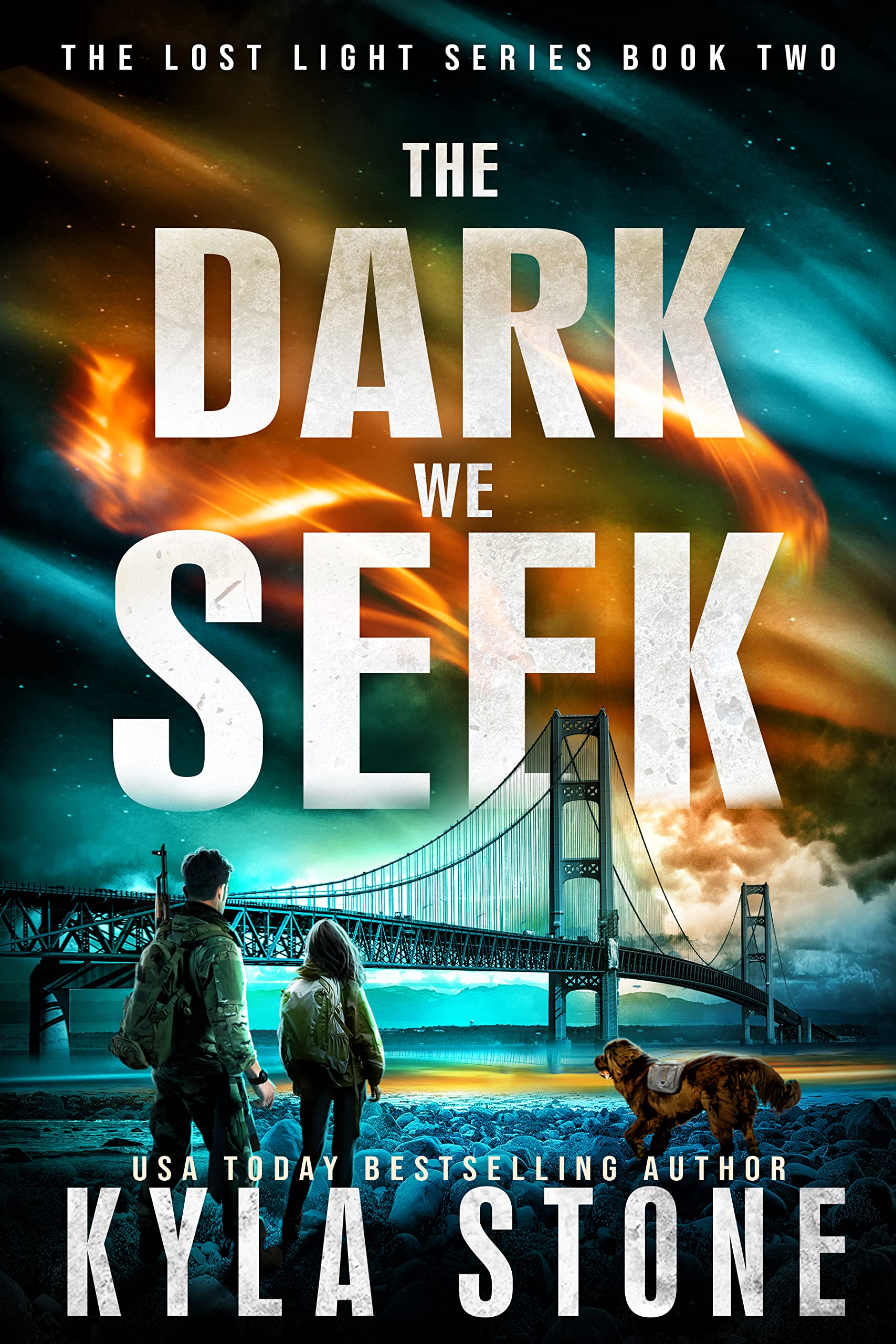 The Dark We Seek: A Post-Apocalyptic EMP/CME Survival Thriller (Lost Light Book 2)