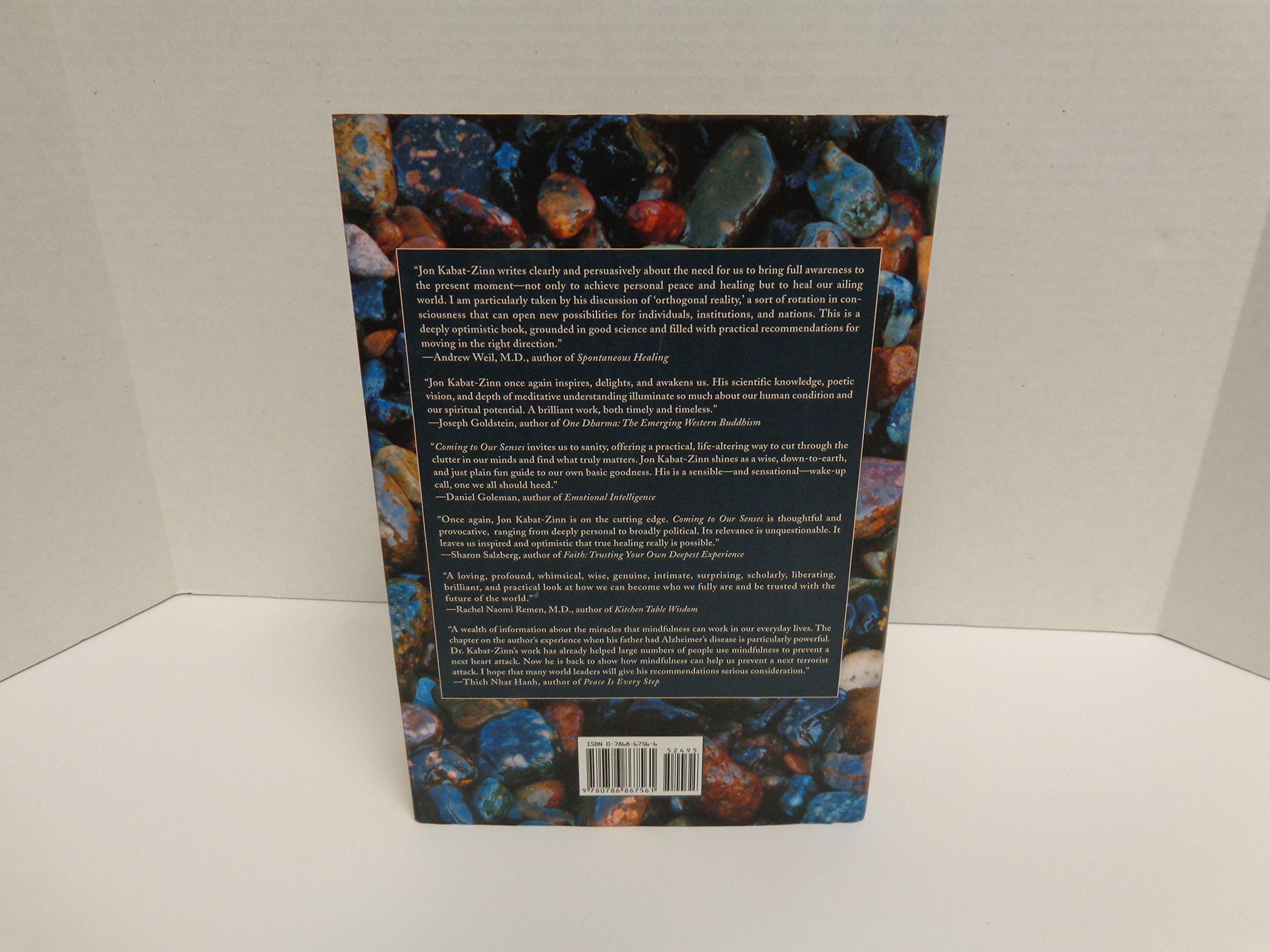 Coming to Our Senses: Healing Ourselves and the World Through Mindfulness - Image 3