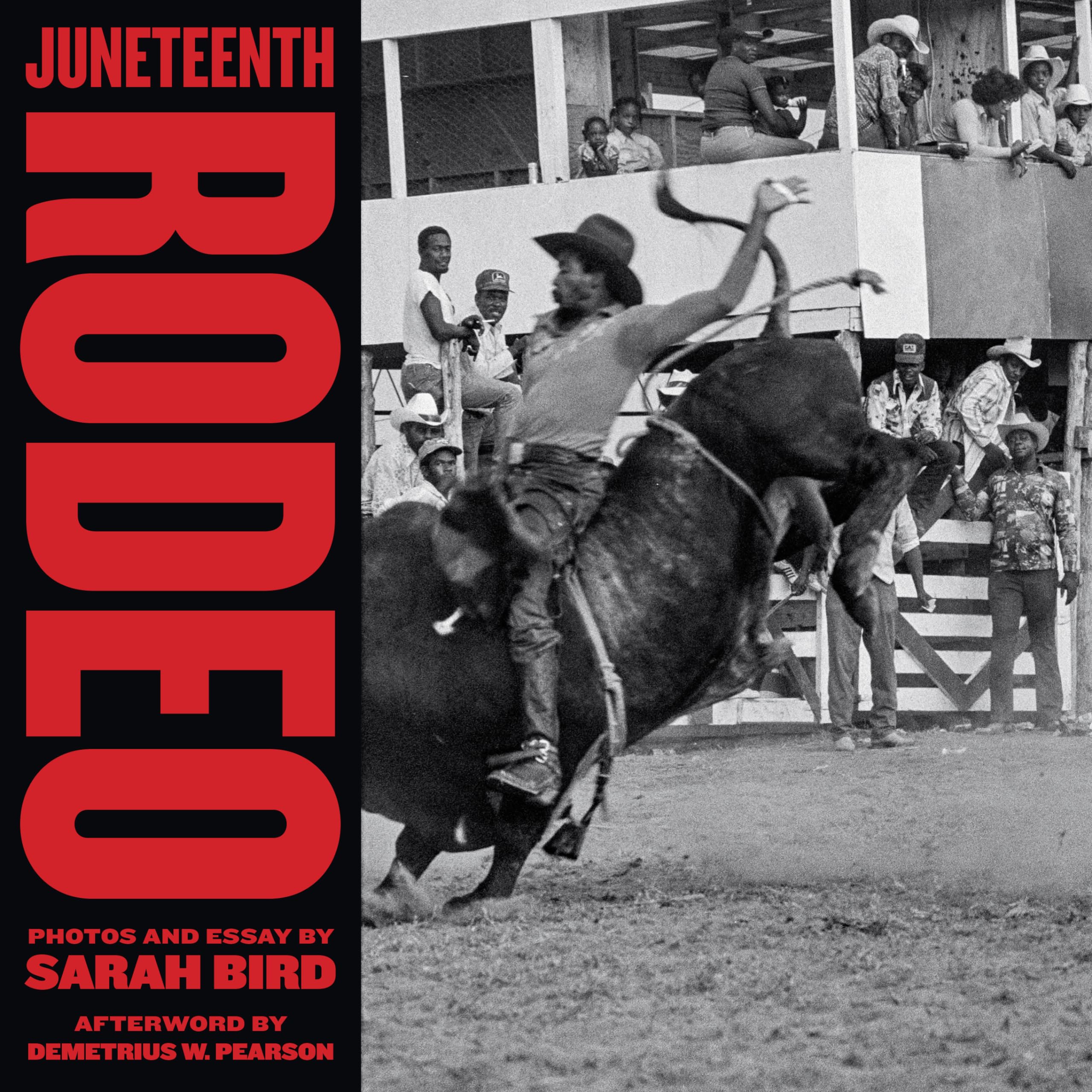 Juneteenth Rodeo (M.k. Brown Range Life, 25)