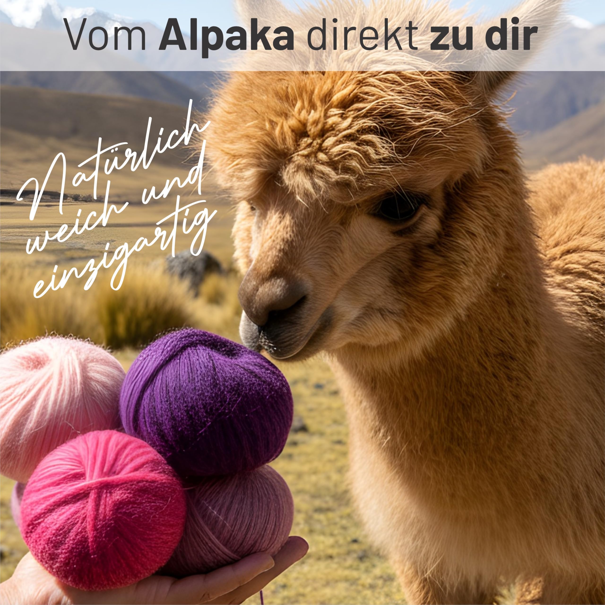 HANSA-FARM |Alpawool Baby Alpaka Light 100 DK im 6er Set - leichte und kratzfreie Wolle zum Stricken & Häkeln - HF191 Himbeersahne heather