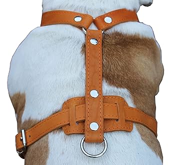 牛皮革ハーネス Amazon.co.jp: 本革犬用ハーネス M~L 25インチ~32インチ
