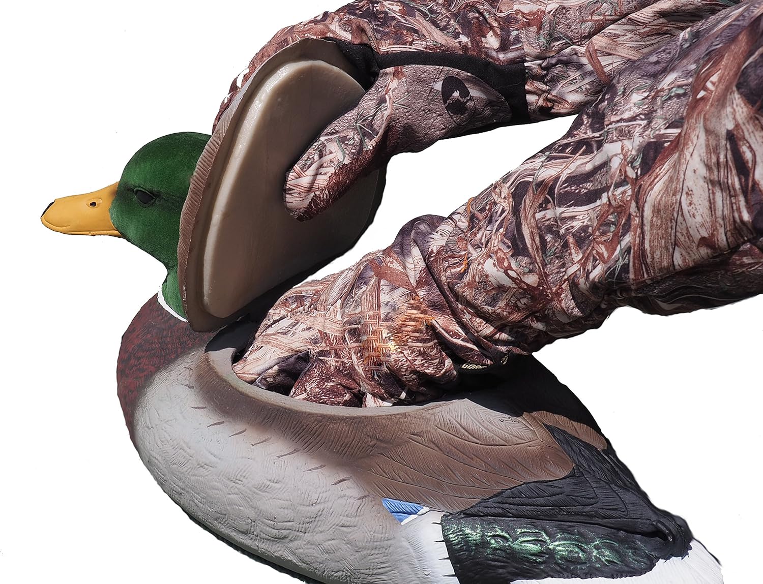 ***The Natural Swimmer***