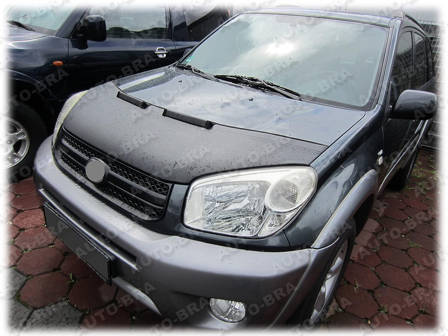 AB-00769 Carbon Fiber Look Hood Bra Compatible with Toyota RAV4 2000-2006 Front End Nose Mask Bonnet Bra