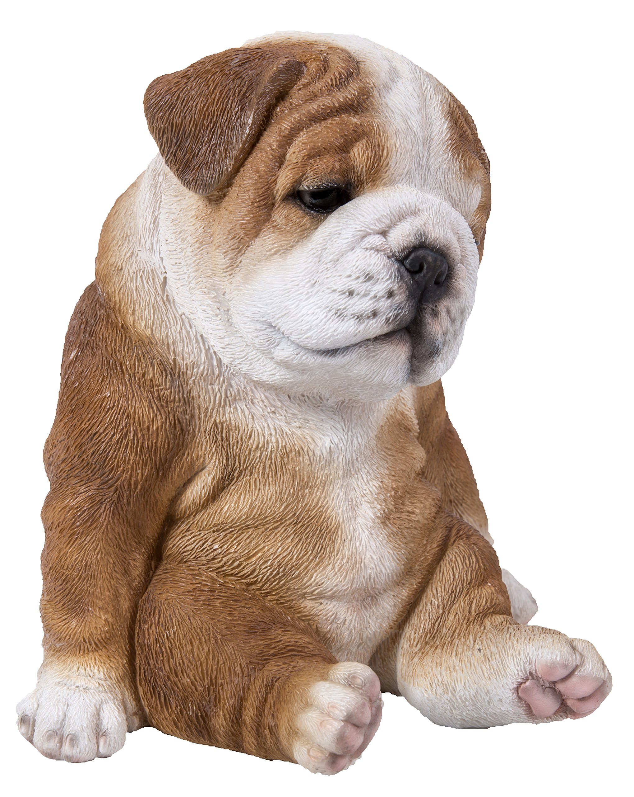 Hi-Line Gift Ltd Zittende slaperige Bulldog Puppy : Amazon.nl