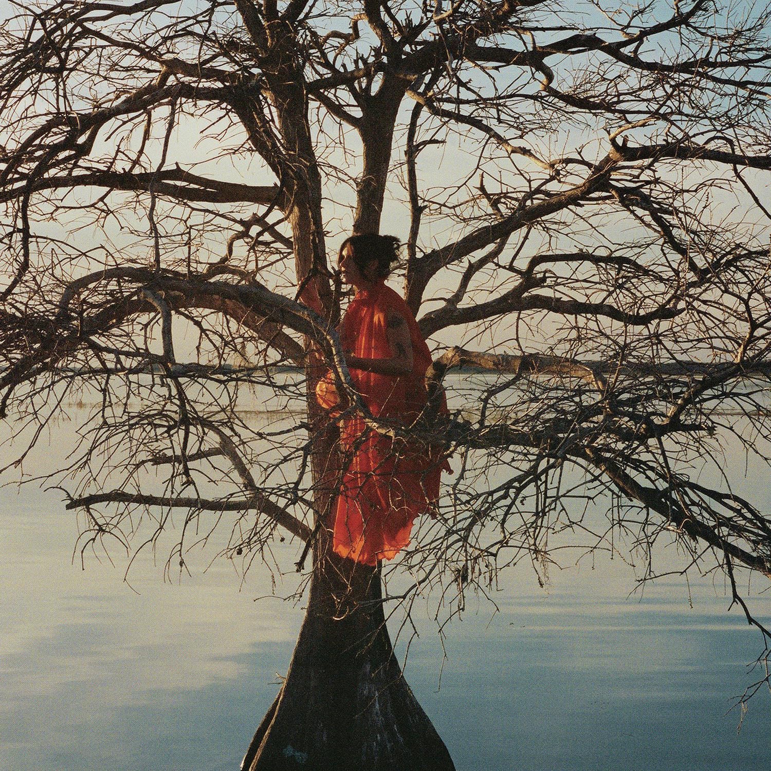 The Eldest Daughter [VINYL]