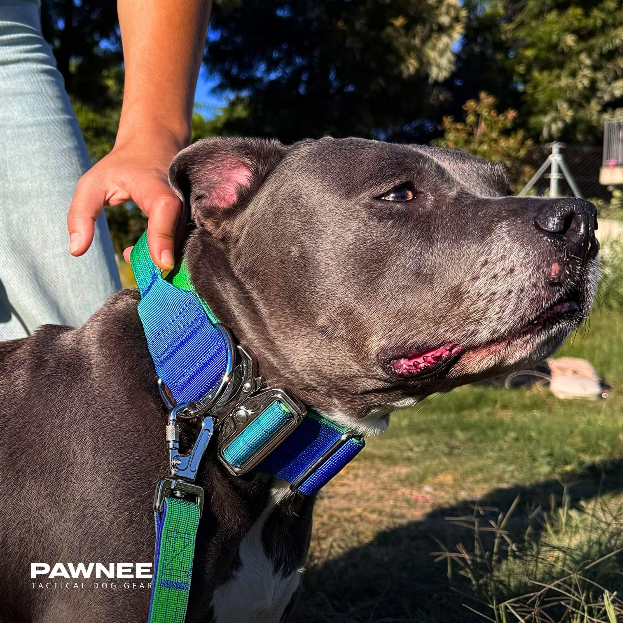 PAWNEE – Collar y Correa de Adiestramiento para Perros Grandes, Fuertes y Potentes como Dosgos, Rottweiler, Doberman, Mastín, Presa, Mastiff, Kangal y Cane Corso (Set_Collar_Lux_50mm | Negro L)