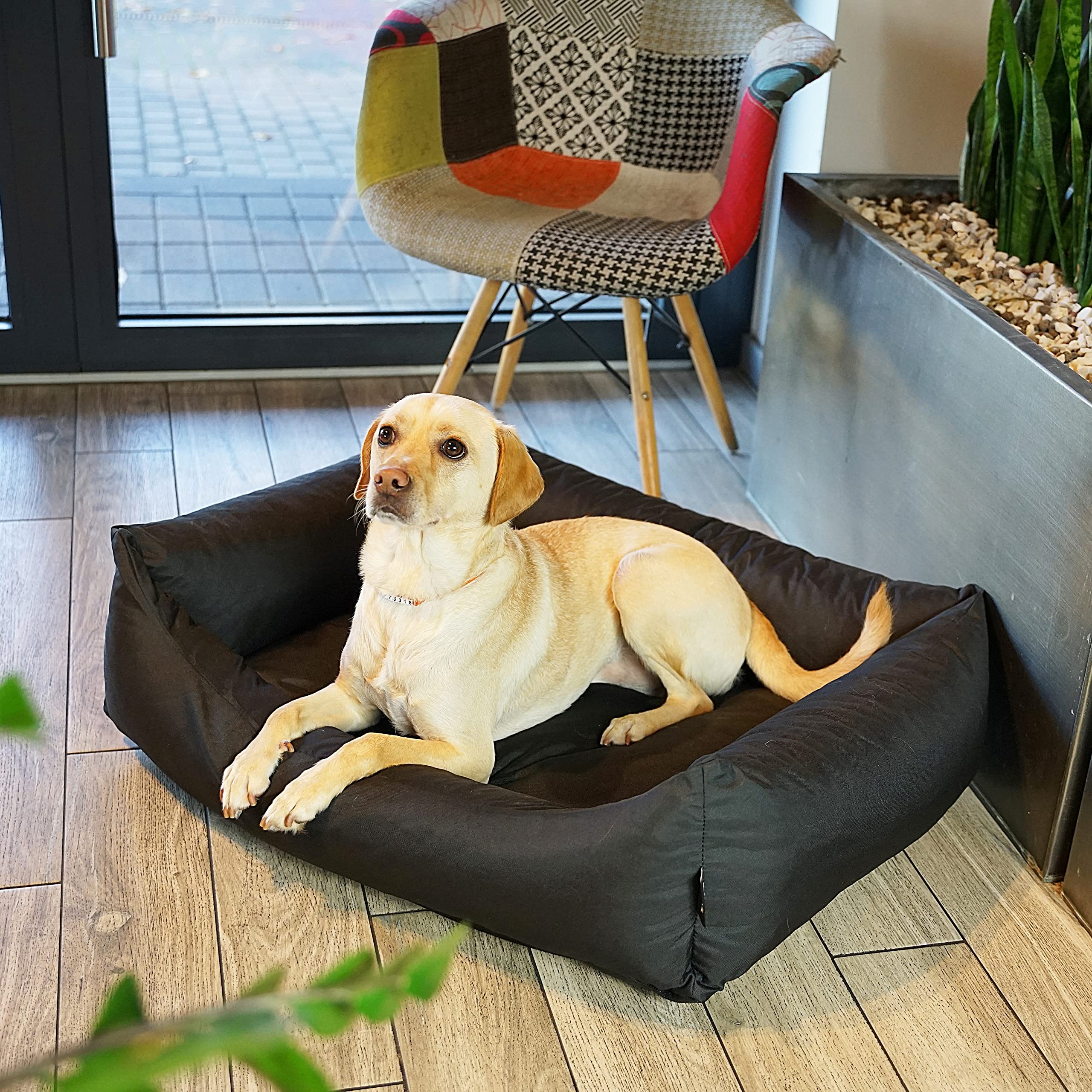 4L Textil Otto Cama Perro Grande, cojín para Perros, Cama para Perros, Funda extraíble Perros, para Perros Impermeable, Mullido cojín Grande, colchón Perro (100x80 cm, Negro)