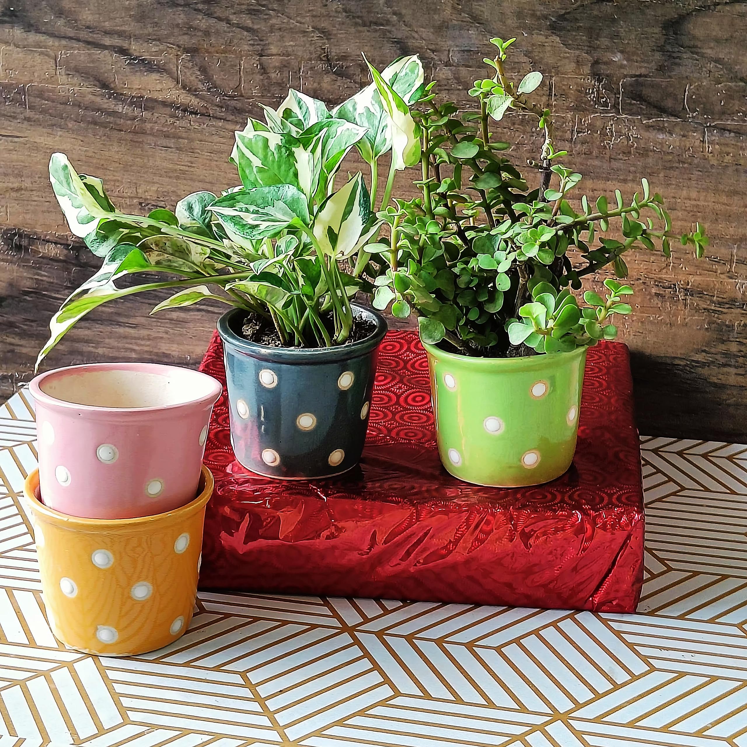 Niyara Small Combo Ceramic planters Pot for Home Garden Balcony (Polka Set of 4) (B0CCMXCLMP) Amazon Price History, Amazon Price Tracker