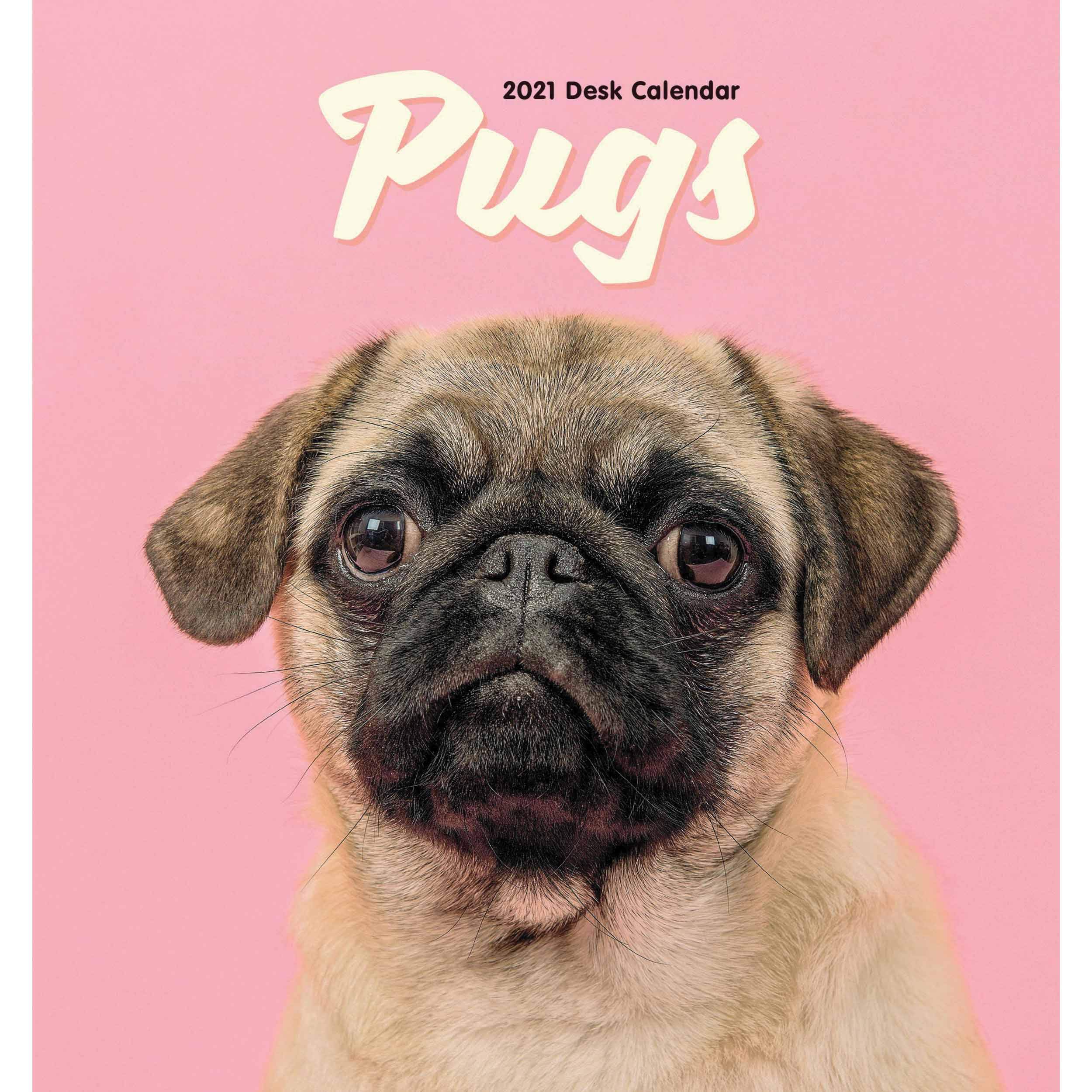 Pug Easel Desk Calendar 2021