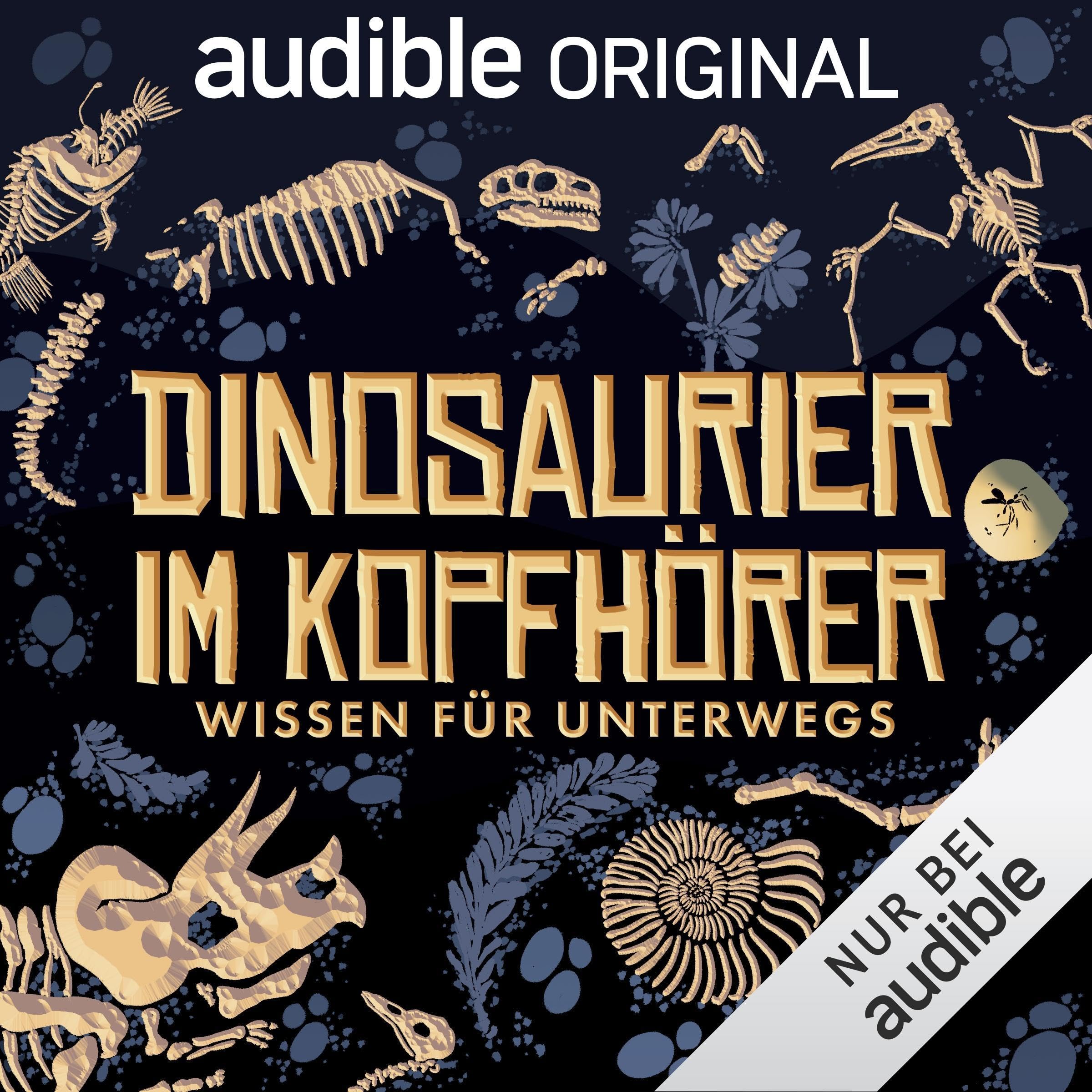 Dinosaurier im Kopfhörer. Wissen für unterwegs