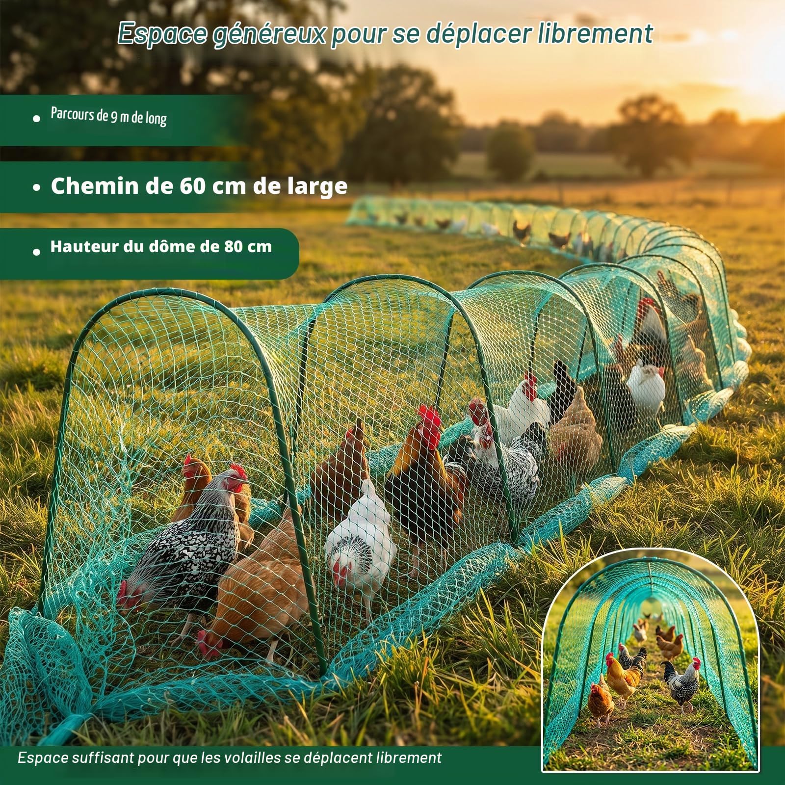 Tunnel de 9 m pour poulailler, enclos d'extérieur