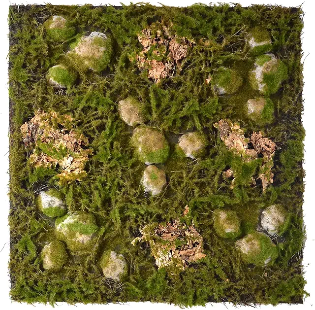 REPITERRA Terrarium Back Wall - 3D Forest Design for Reptile Habitats