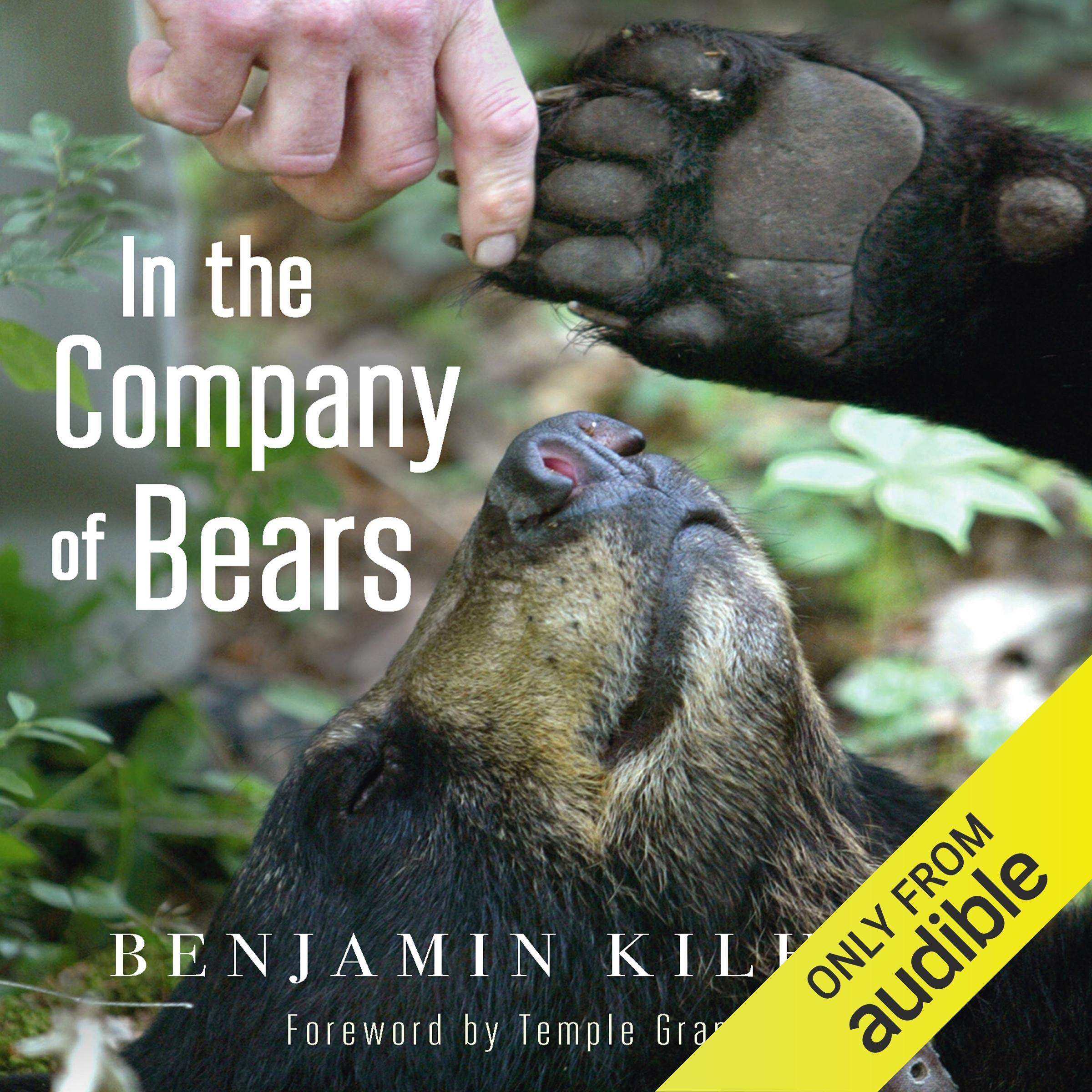 Cover art for In the Company of Bears