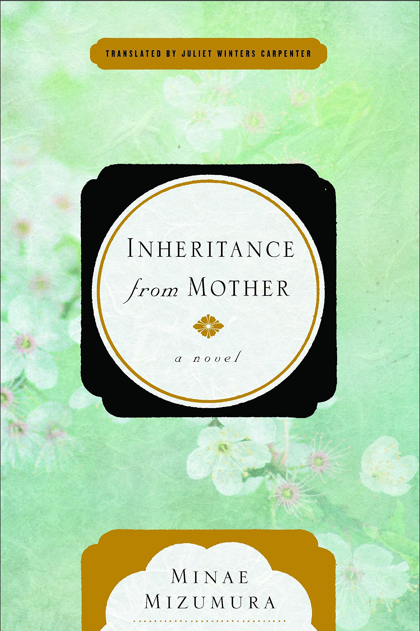 Inheritance From Mother: A Serial Novel