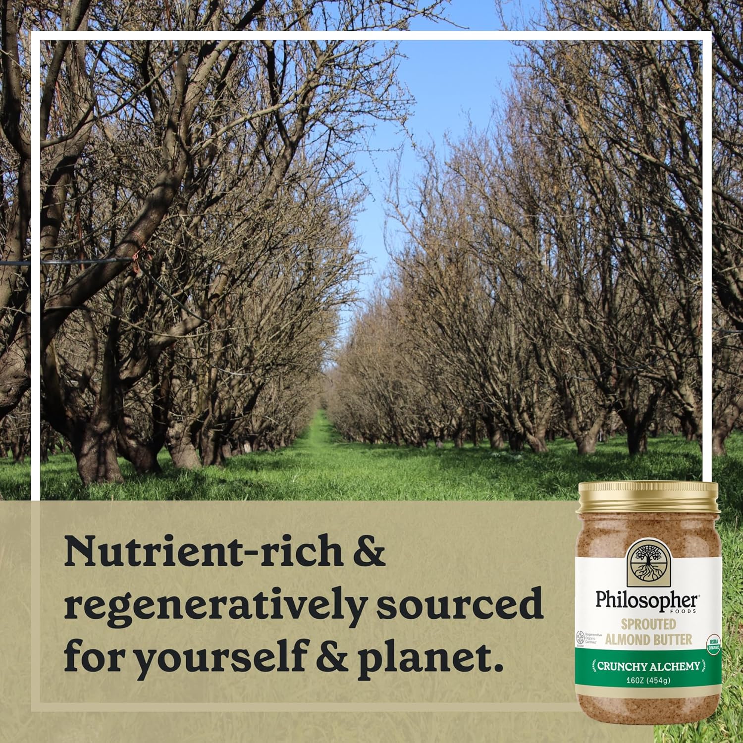 Philosopher Foods - Creamy + Crunchy Alchemy Sprouted Almond Butter - 16 oz (Pack of 2) - Stone Ground Regenerative Organic Creamy Almond Nut Butter No Sugar Added