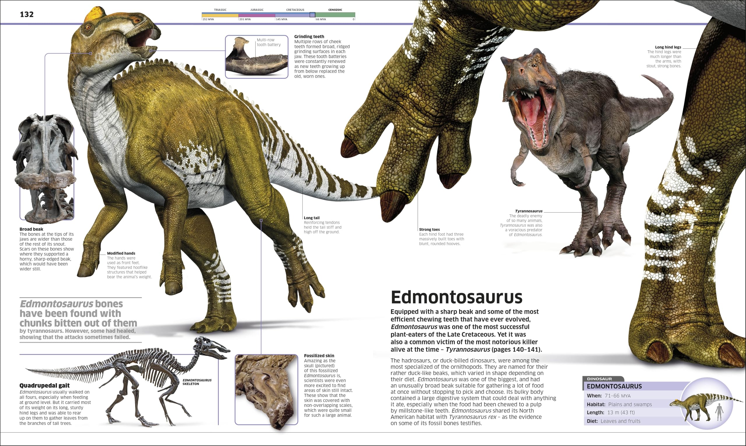 Knowledge Encyclopedia Dinosaur!: Over 60 Prehistoric Creatures as You've Never Seen Them Before (New Edition) (DK Knowledge Encyclopedias)