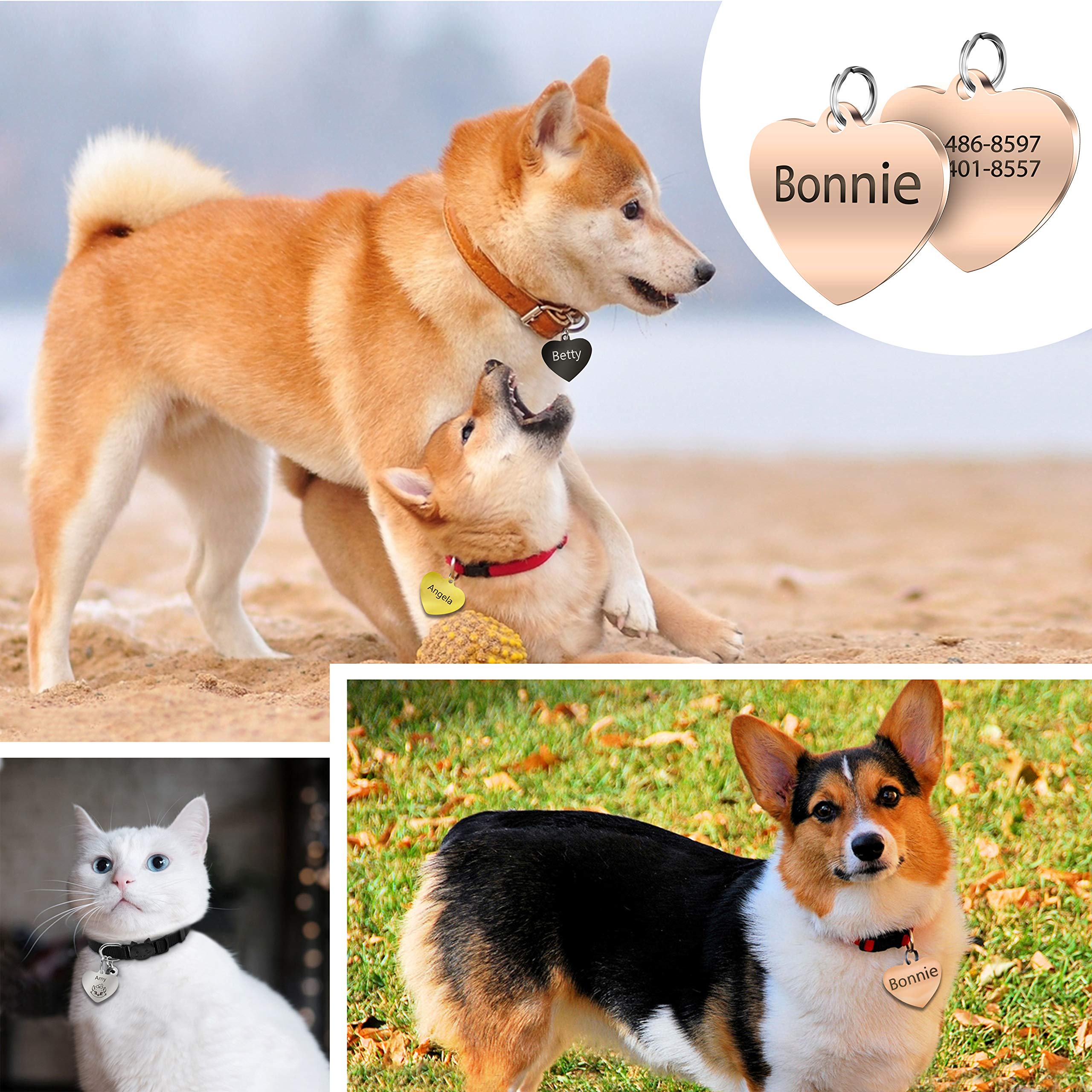 Diamantes Certificados Chapa Identificativa Para Perro/gato Con Forma De Corazón - Acero Inoxidable, Grabado Personalizado Identificador Corazón Plata Mascota Diamantes Certificados Chapa Identificativa Para Perro/gato Con Forma De Corazón - Acero Inoxidable, Grabado Personalizado Identificador Corazón Plata Mascota