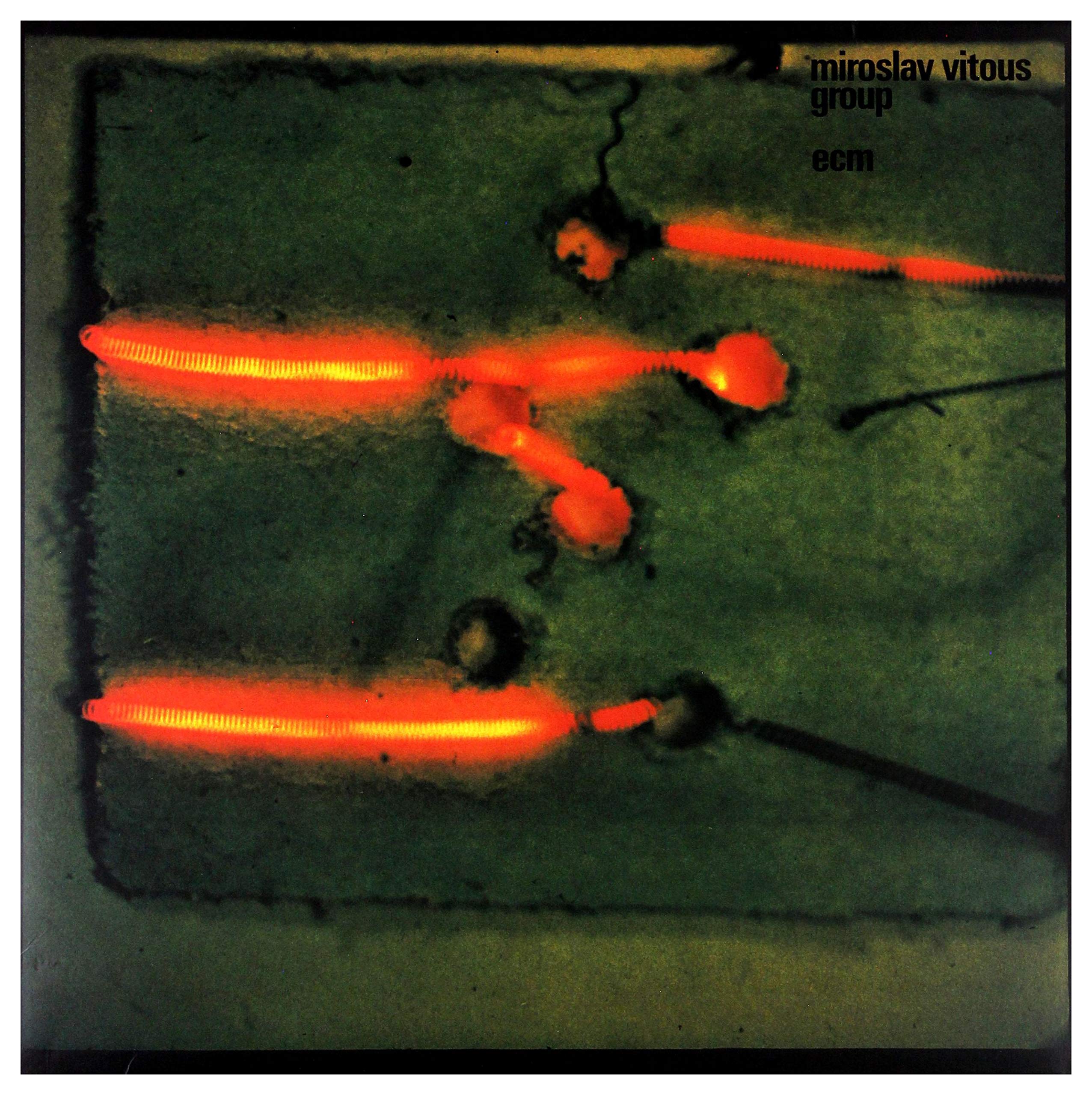 Miroslav Vitous Group (180g Vinyl) [VINYL]