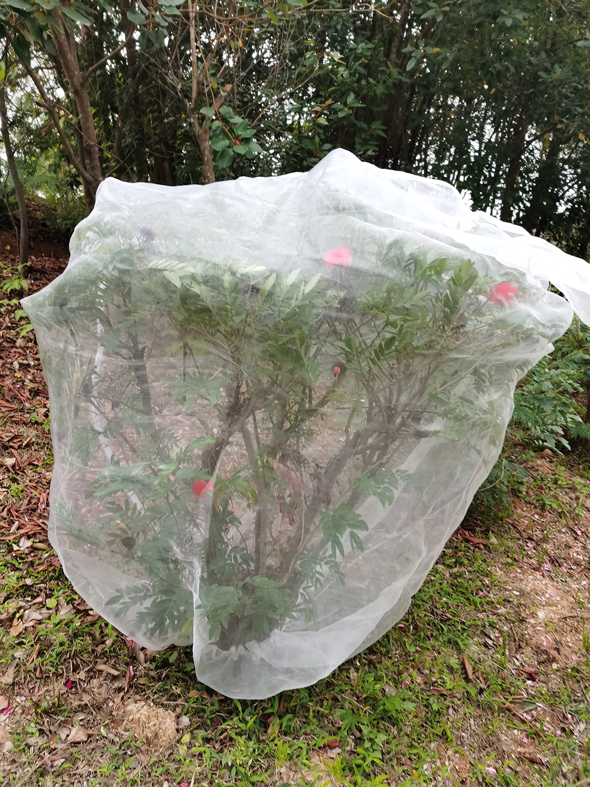 Siatka ochronna do roślin 2 m x 2,4 m, siatka na drzewo owocowe, siatka przeciw owadom na drzewa owocowe z zamkiem błyskawicznym i sznurkiem - drobna siatka