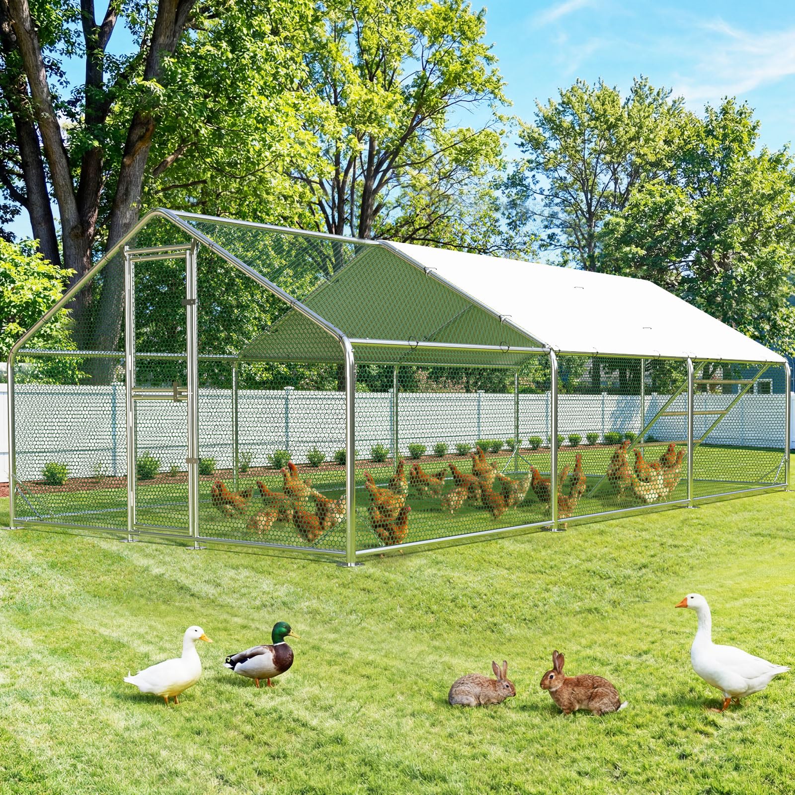 Sannwsg Large Chicken Coop
