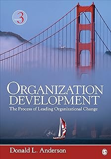 Organization Development: The Process of Leading Organizational Change