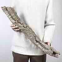 ポルトガル産コルク樹皮ＰＬ-0926-152Ｌ153Ｌの2点セット ポルトガル産コルク樹皮PL-0926-152L - メルカリ