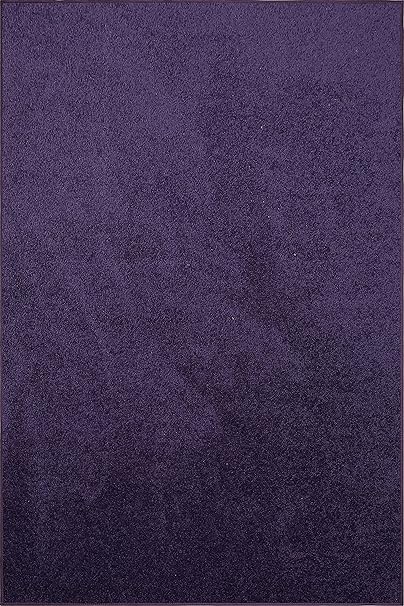 Amazon.com: Ambiant Pet Friendly Solid Color Area Rugs Purple - 2' x 3 ...