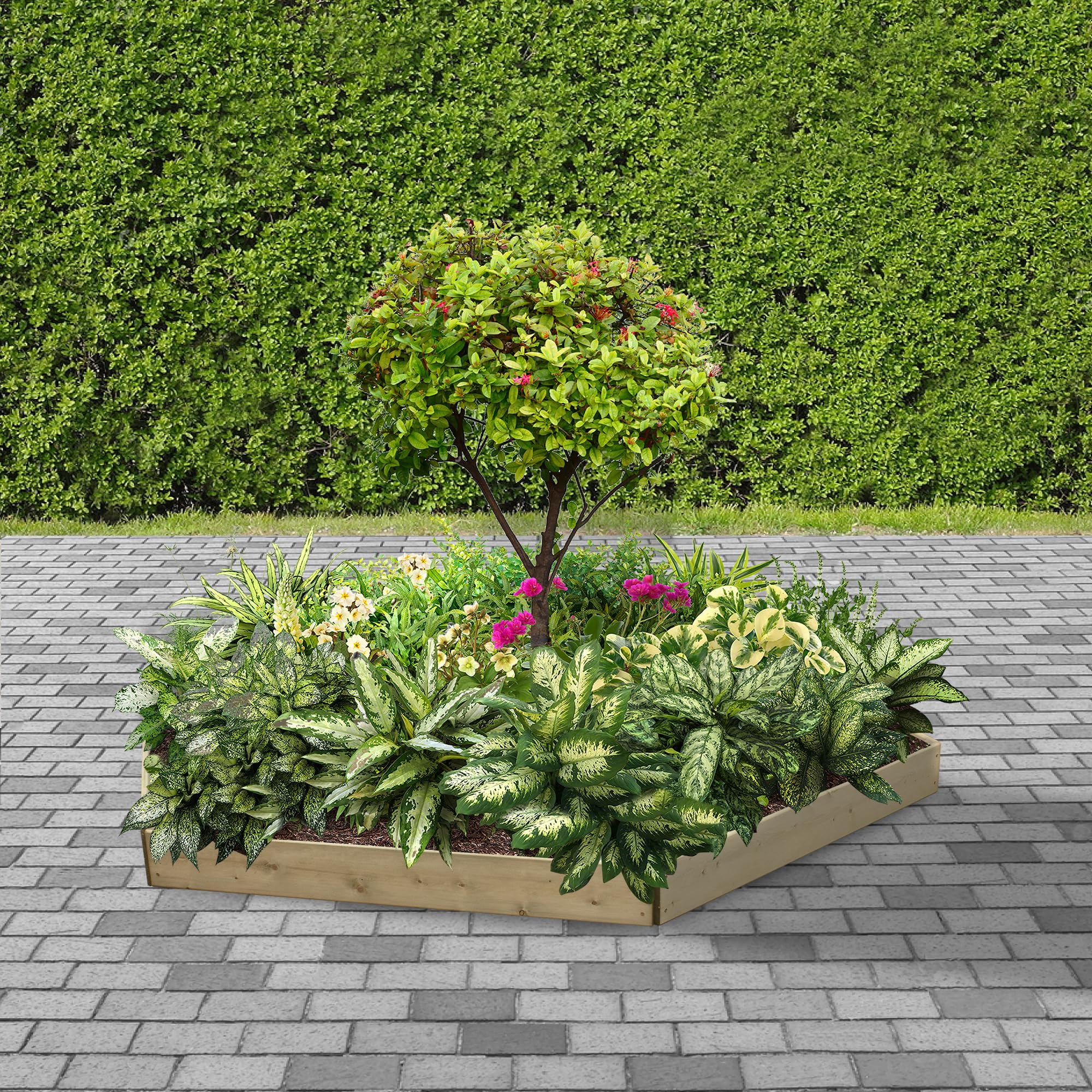 Greena Hexagonal Timber Raised Garden Planters For Outdoor Plants Vegetables Herbs Flowers Renewable Scandinavian Pine Pressure Treated For Long Product Life Made in the UK(120(L) cm x 15(H) cm)
