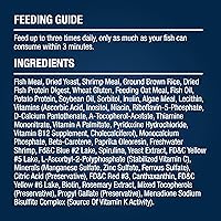 Vista 5 de Tetra Color Tropical Flakes, alimento para peces que aumentan el color, dieta nutricionalmente equilibrada para peces tropicales, 2.2 libras