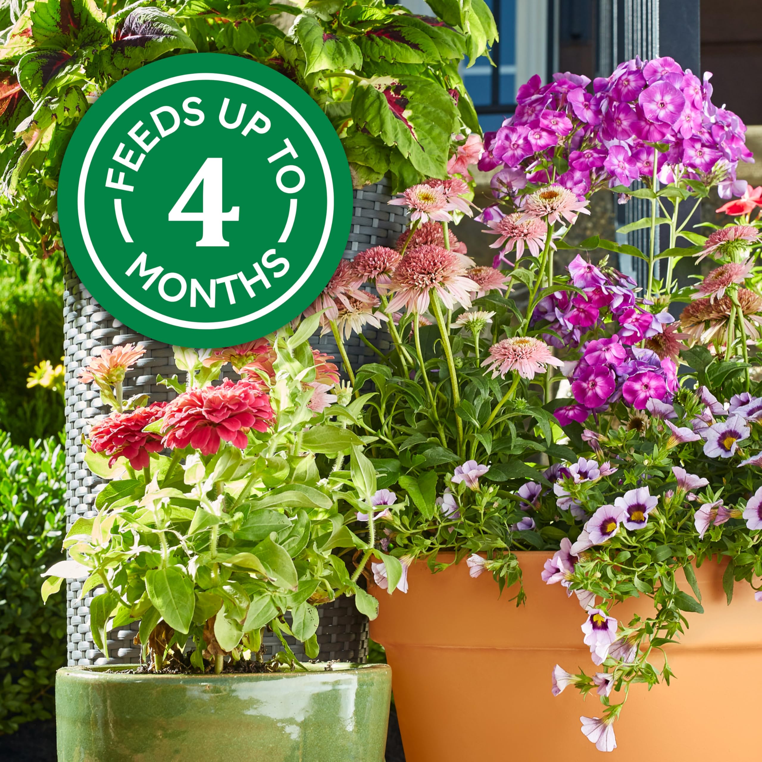The Scotts Co. 12 fiori e verdura-Concime Osmocote per piante, dimensioni: 3 g (catalogo Categoria: prato & Garden: Fabbricazione di fertilizzanti):