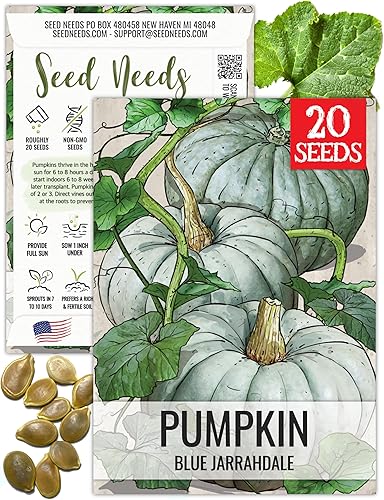 Seed Needs Semillas de calabaza para plantar calabazas Jarrahdale azules, reliquia sin OMG y semilla de Cucurbita Maxima sin tratar para plantar un