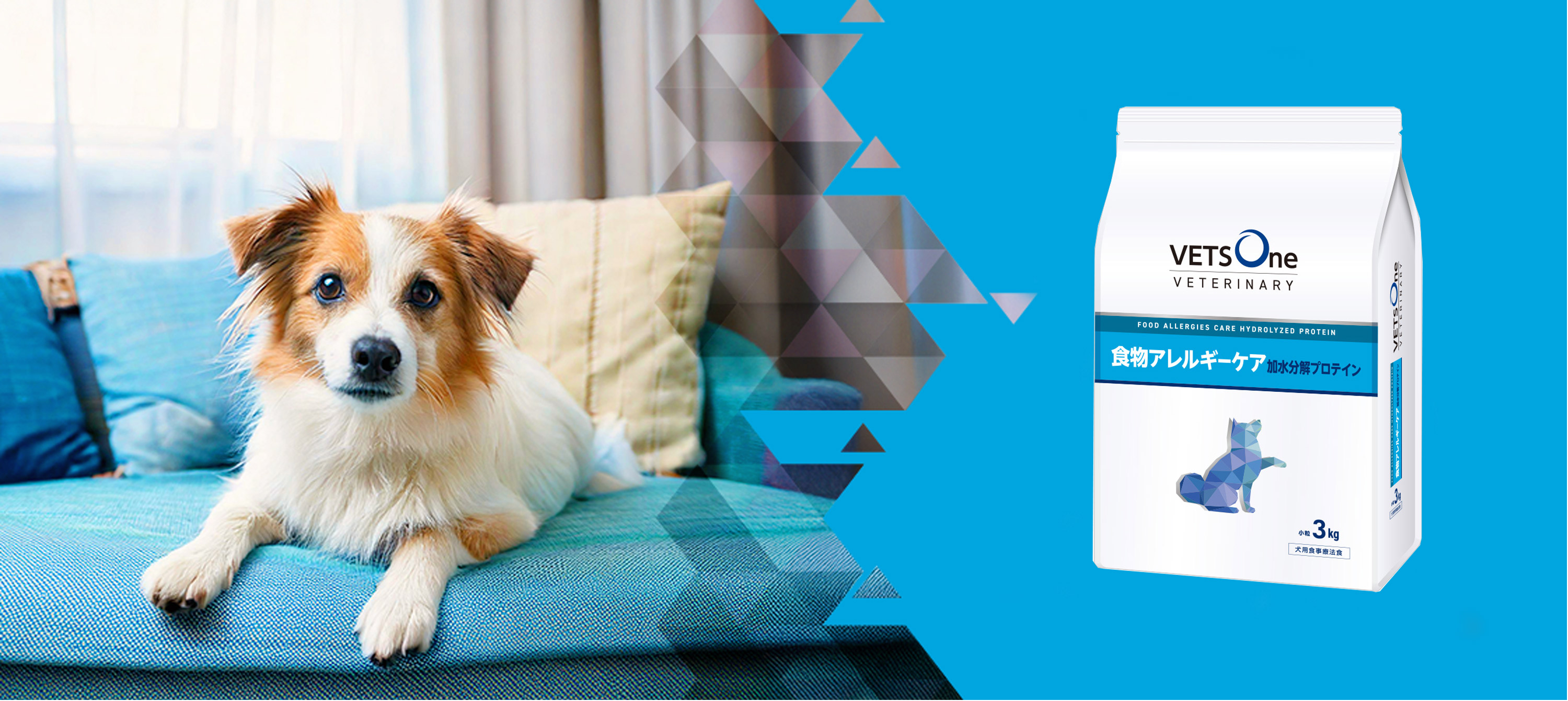 Amazon.co.jp: ベッツワン: 犬用食物アレルギーケア