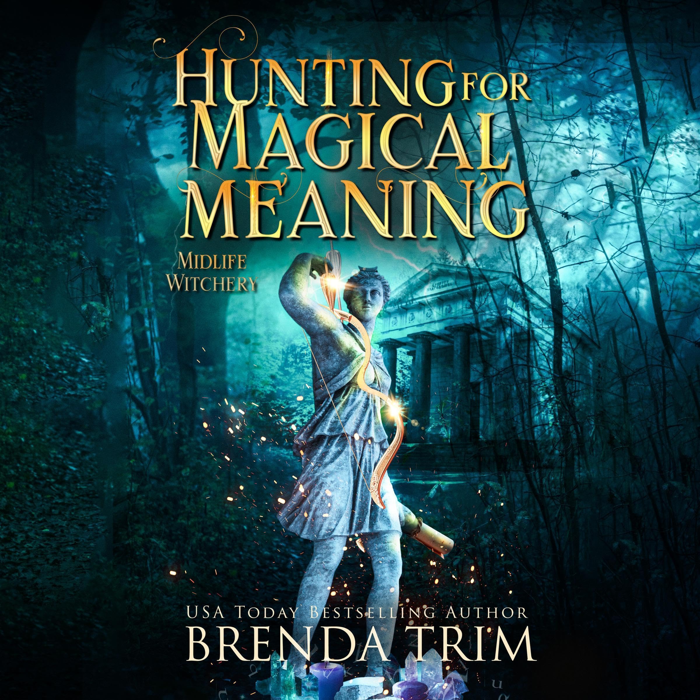 Cover art for Hunting for Magical Meaning