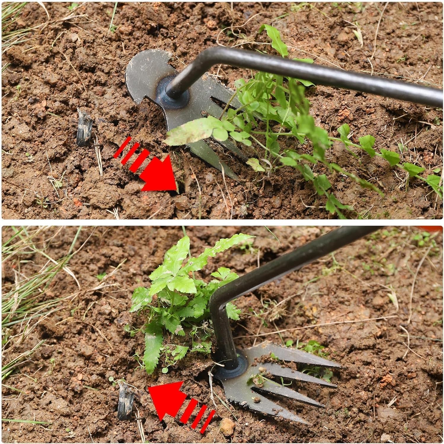 Amazon.co.jp: 草取り道具3/5点セット 雑草引き抜きツール【ステンレス