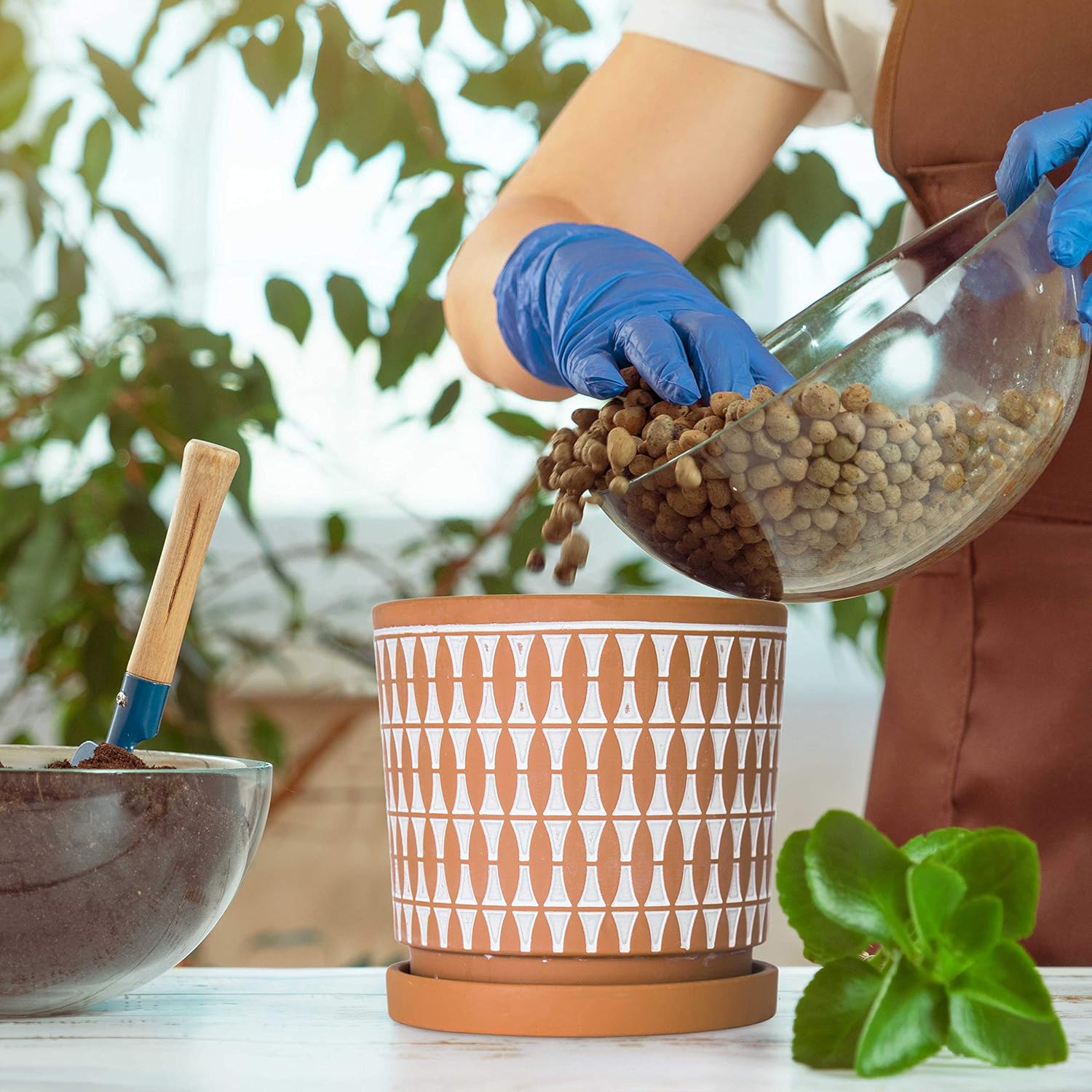 D'vine Dev Set of 2 Terracotta Pots, 6.5 Inch and 8.2 Inch, Planter Pots for Plants with Drainage Holes and Saucers, Pottery Red/White, 34-958-B-1