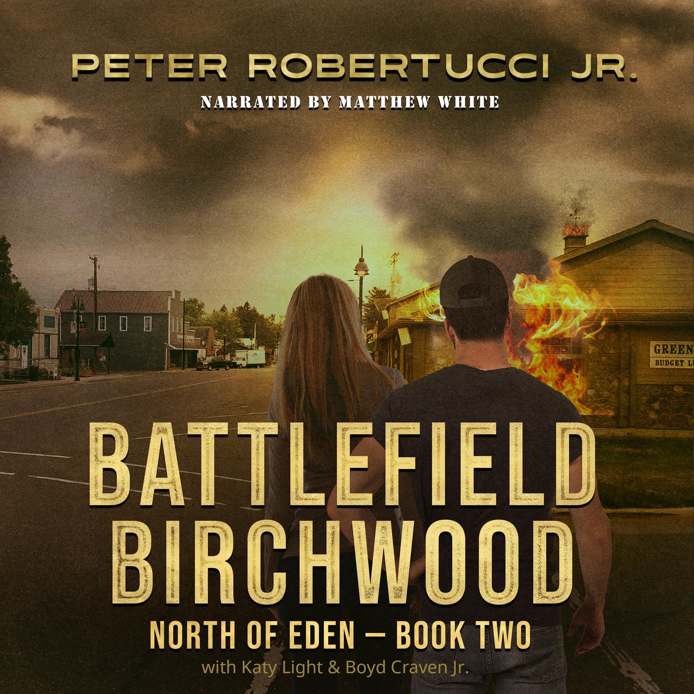 Cover art for Battlefield Birchwood