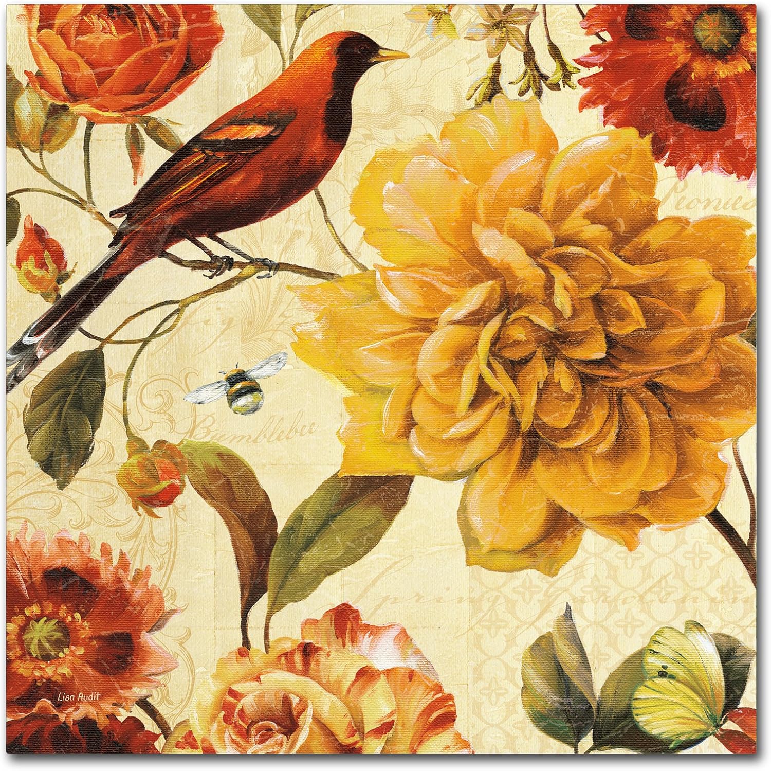 Trademark Fine Art Rainbow Garden Spice II Wall Decor by Lisa Audit, 14" x 14"