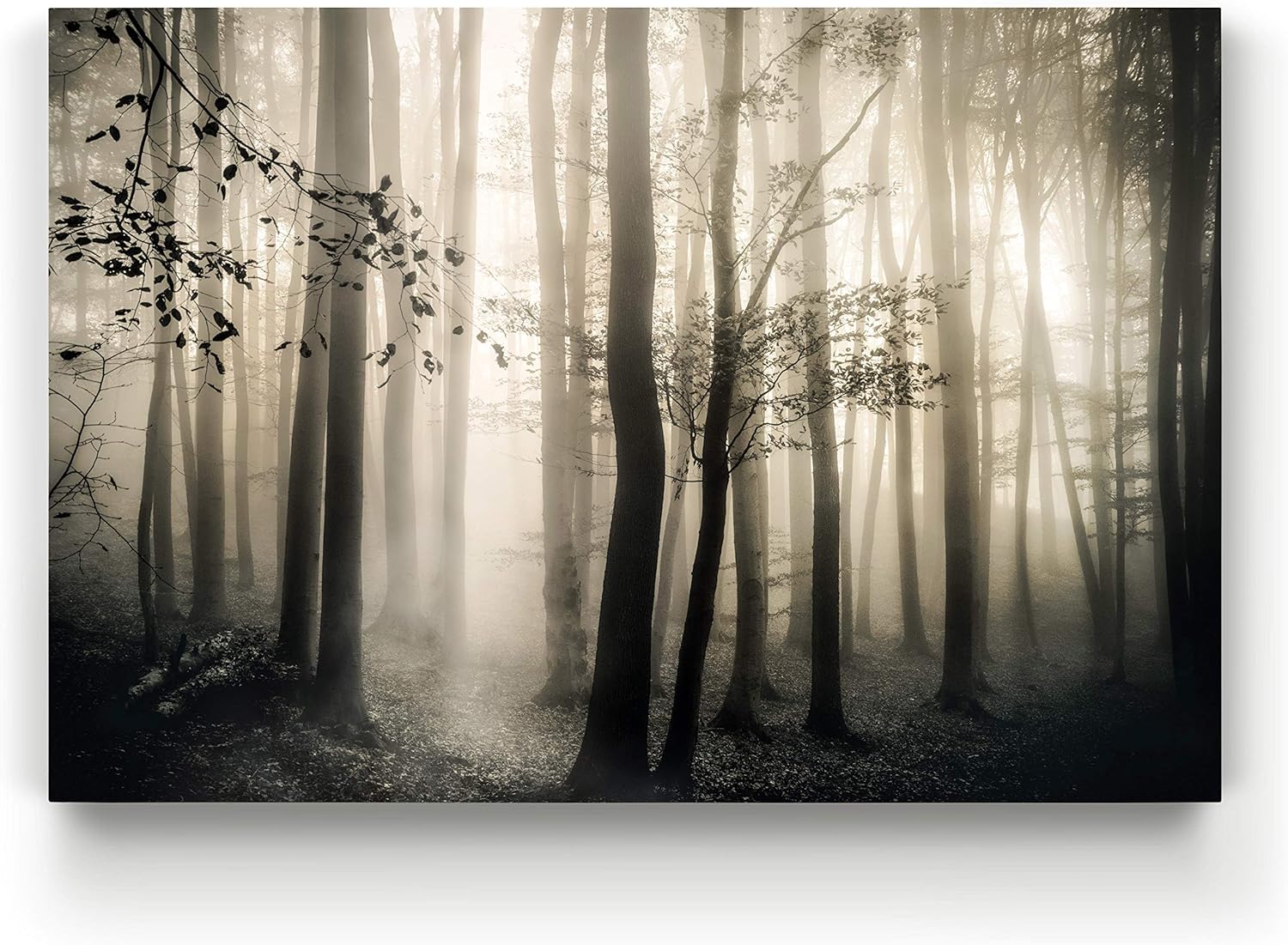 Renditions Gallery Forest Decor Wall Art Modern Decorations Paintings Peaceful Foggy Fall Trees Rustic Natural Botanical Canvas Artwork Prints for Bedroom Office Kitchen - 12"x18" LT39