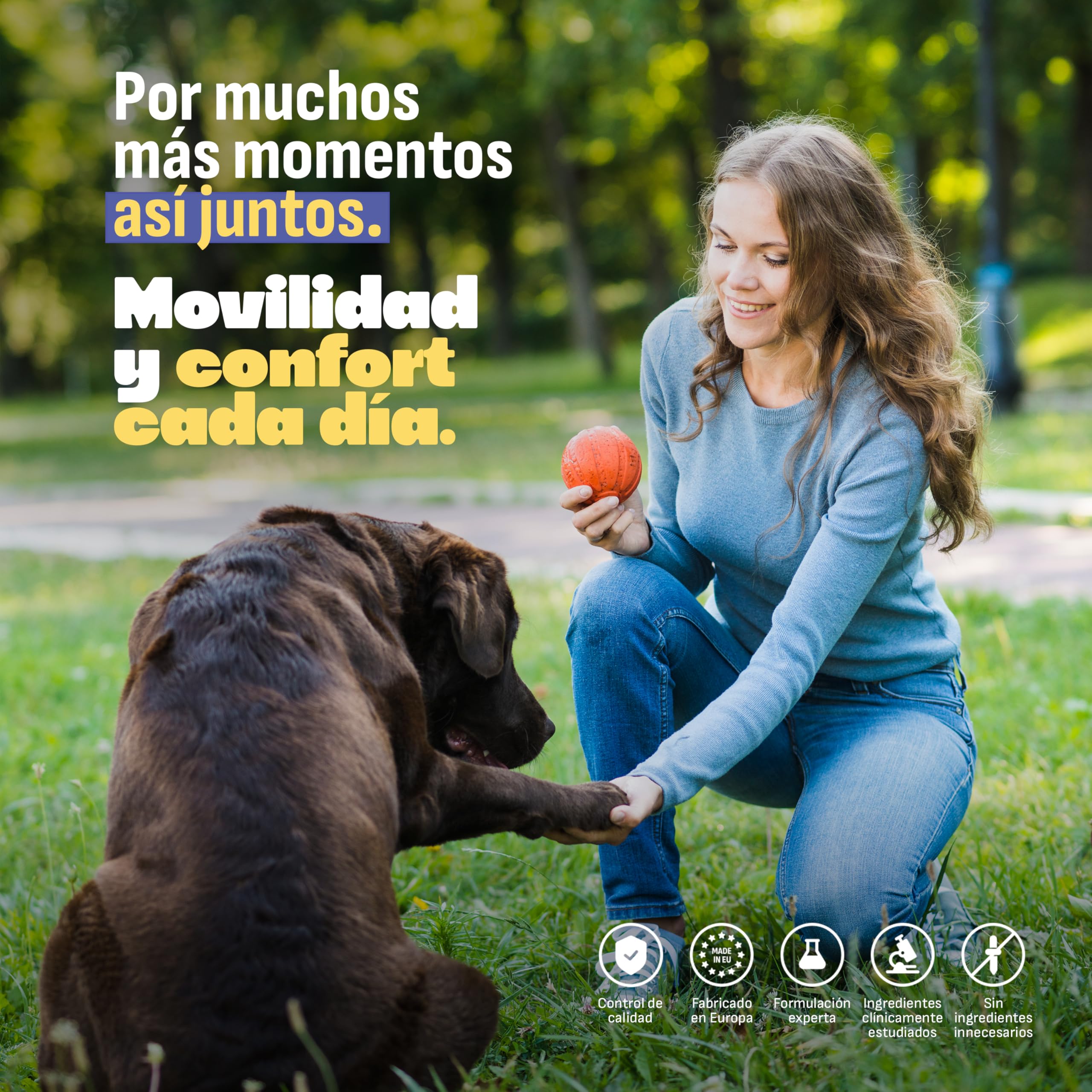 MYLO Condroprotector Perros Articulaciones Perro, Movilidad y Confort. Glucosamina, MSM y Colágeno para Fortalecer Cartílago. Mejillón de Labio Verde Antiinflamatorio Perros Natural. 60 Uds