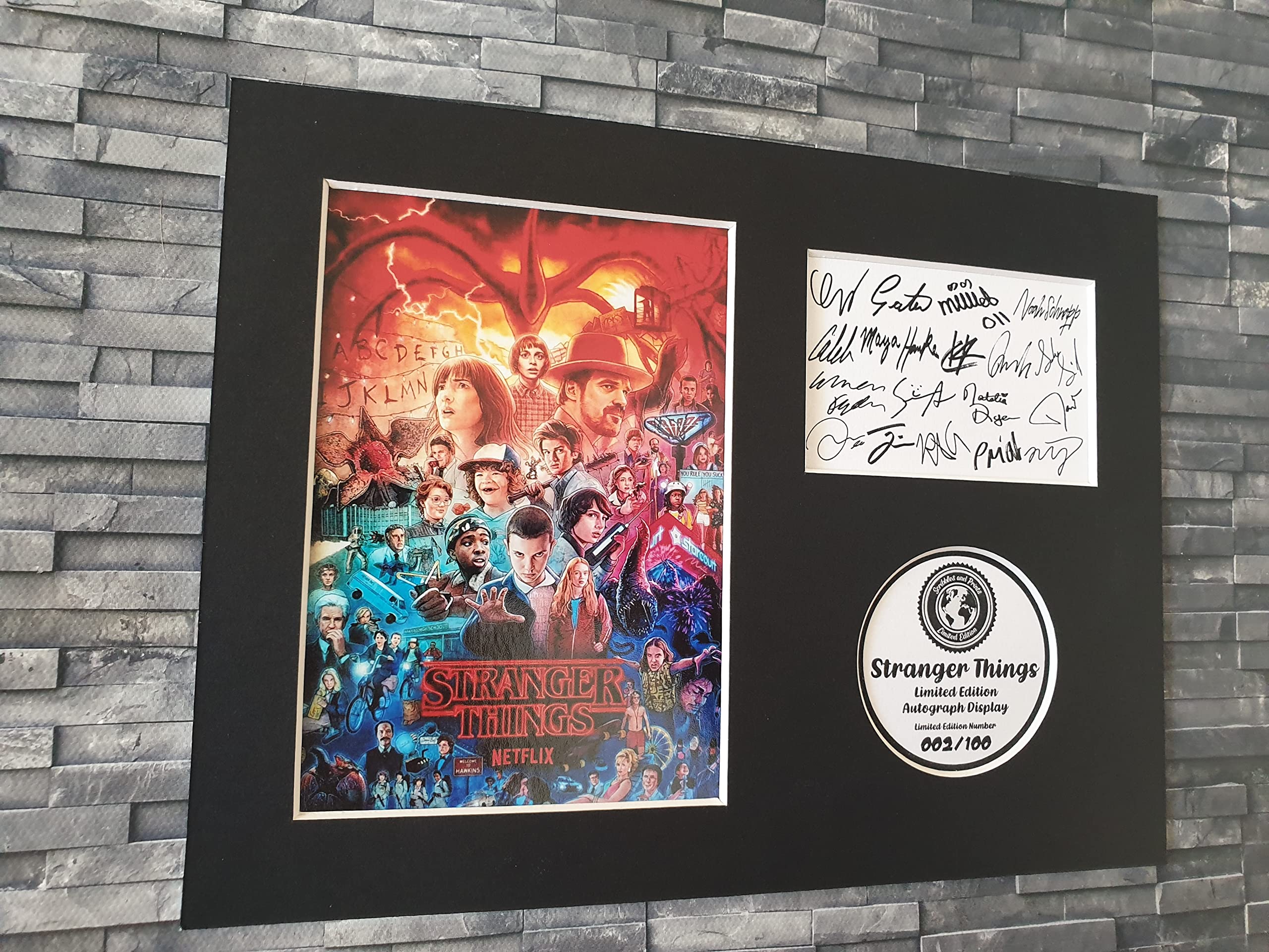 Havoc Stranger Things Limited Edition Cast Signed Autograph 