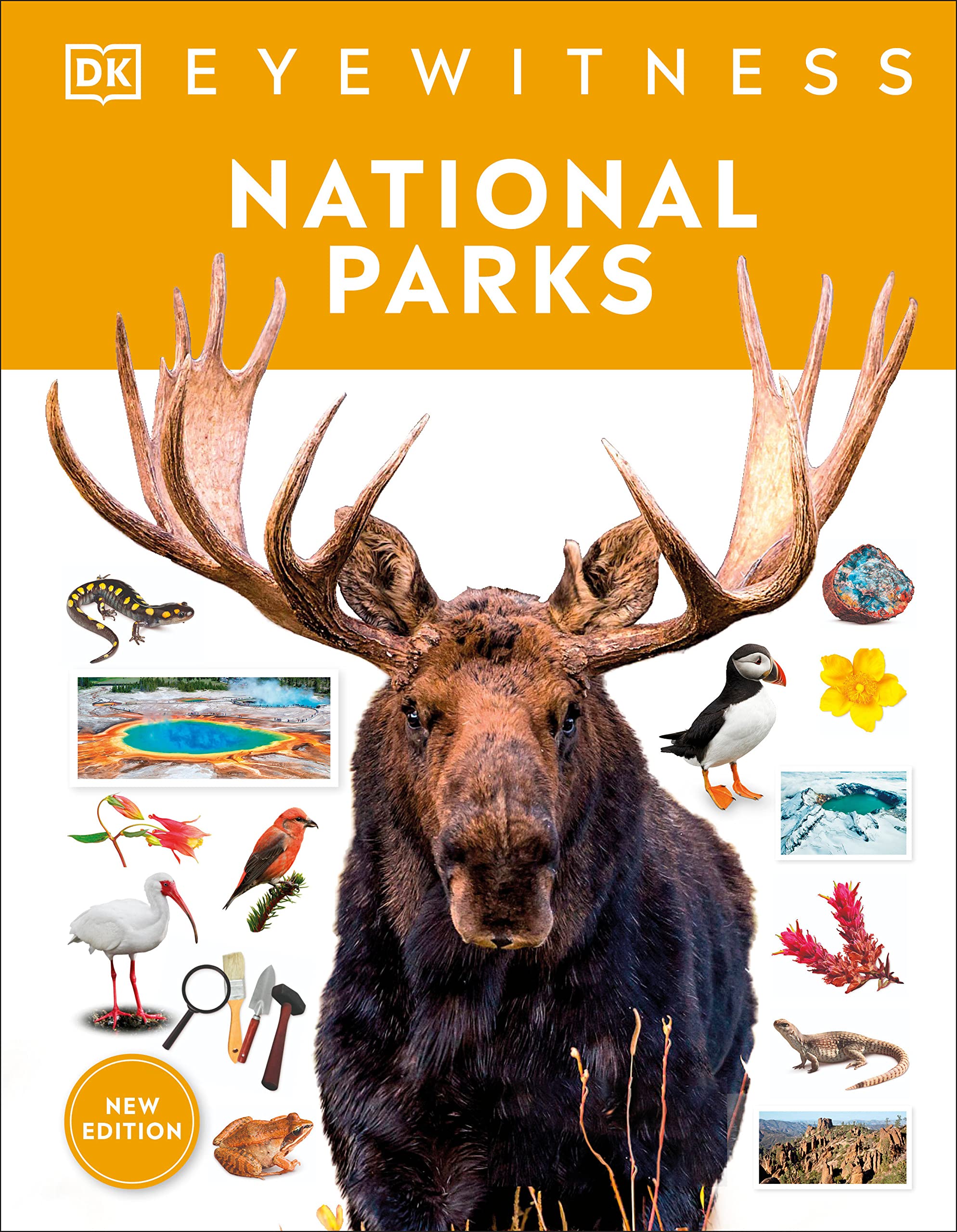 Eyewitness National Parks (DK Eyewitness)