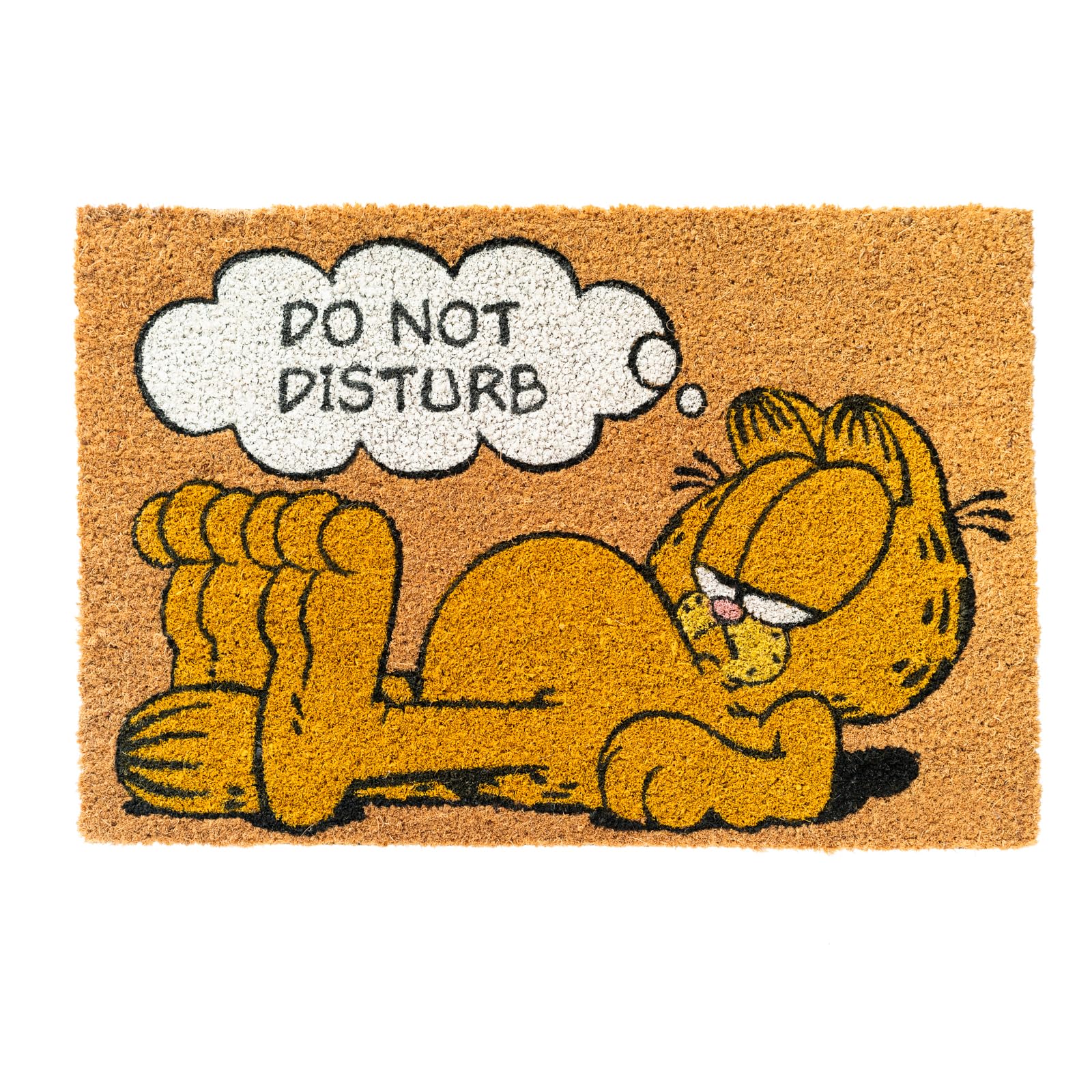 Grupo Erik Door Mat - Garfield Cat Gifts | 15.7 x 23.6 in - 40 x 60 cm Coconut Coir, Waterproof, Non Slip Door Mats Indoor & Outdoor | Garfield Gifts for Cat Lovers
