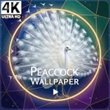 lo prometido es deuda in english Ambient Flow: Perfect for relaxation and aesthetic decor.