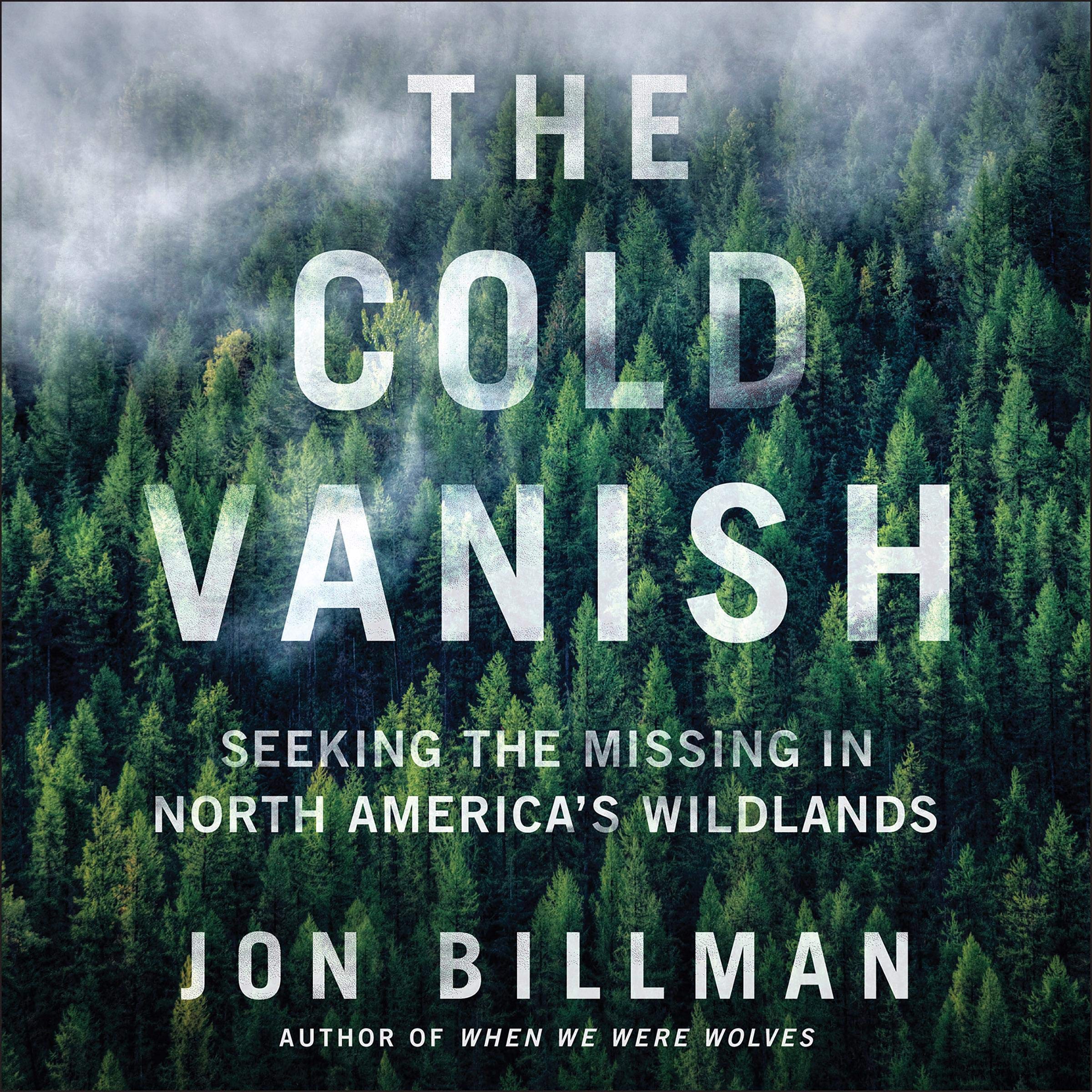 Cover art for The Cold Vanish