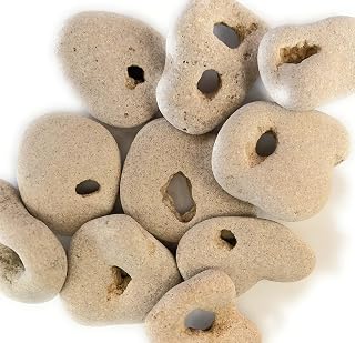Lot of 10 Natural Hag Stones 2–3" – Raw Sea Wishing Stones with Natural Holes – Witch Fairy Odin Protection Stones – Large Raw Beach Stones for Decoration & Rituals