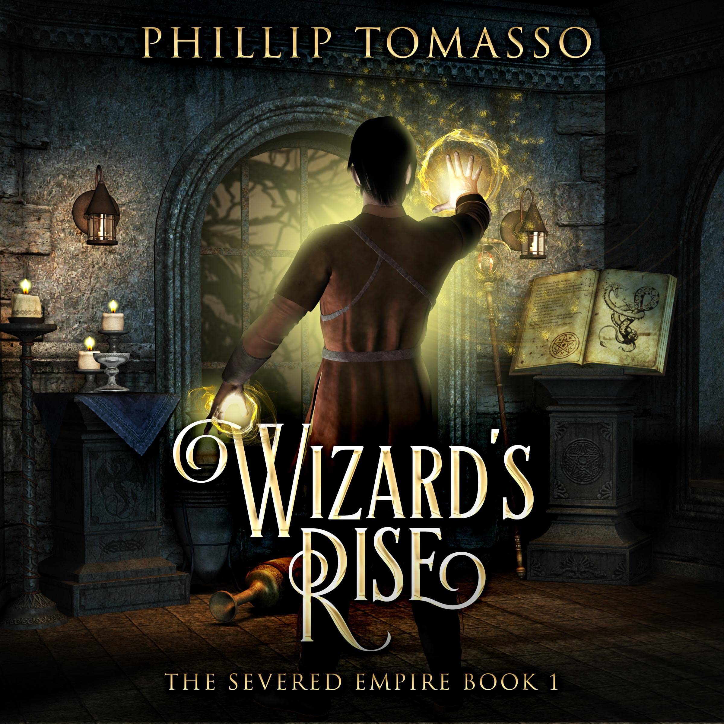 Cover art for Wizard's Rise