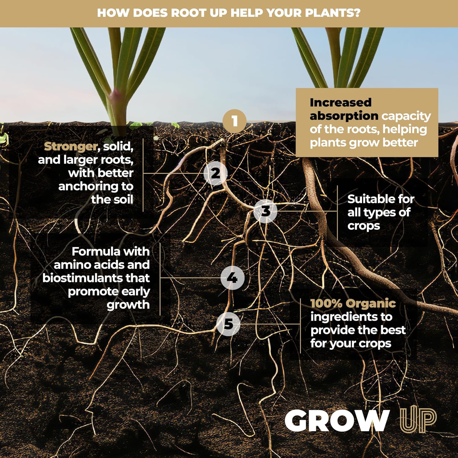 Bio Root Stimulator Root UP 1L – 100% Organic Root Fertilizer for Plants, Crops and Cuttings – Root Activator for Stronger, Larger, and Healthier Roots